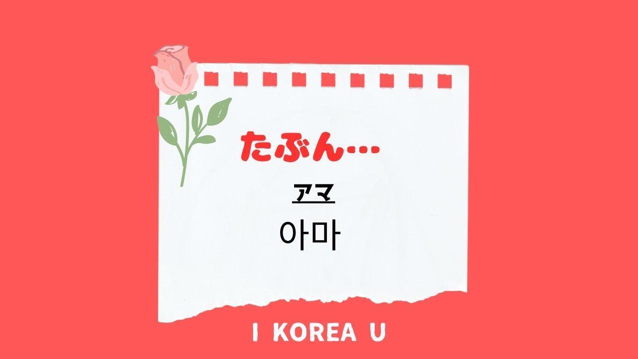 不毛の大地　韓国語1枚 たった1分韓国語】「たぶん」って韓国語で何？（I Korea U