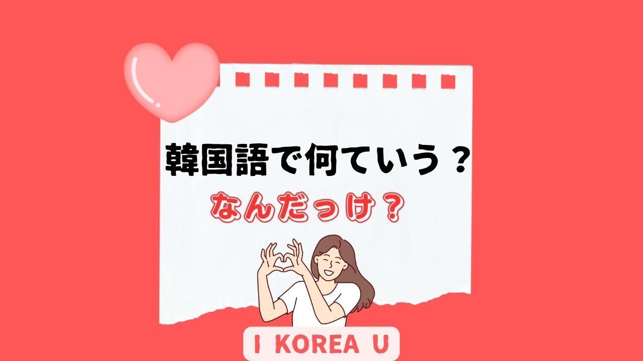 たった1分韓国語】「これにしてください」って韓国語で何？（I Korea U