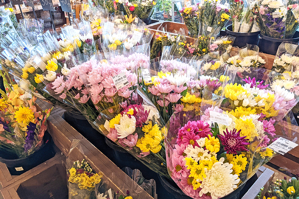 切り花は新鮮さが命。地元生産者が直接出荷するので、生きのよいお花が並びます。