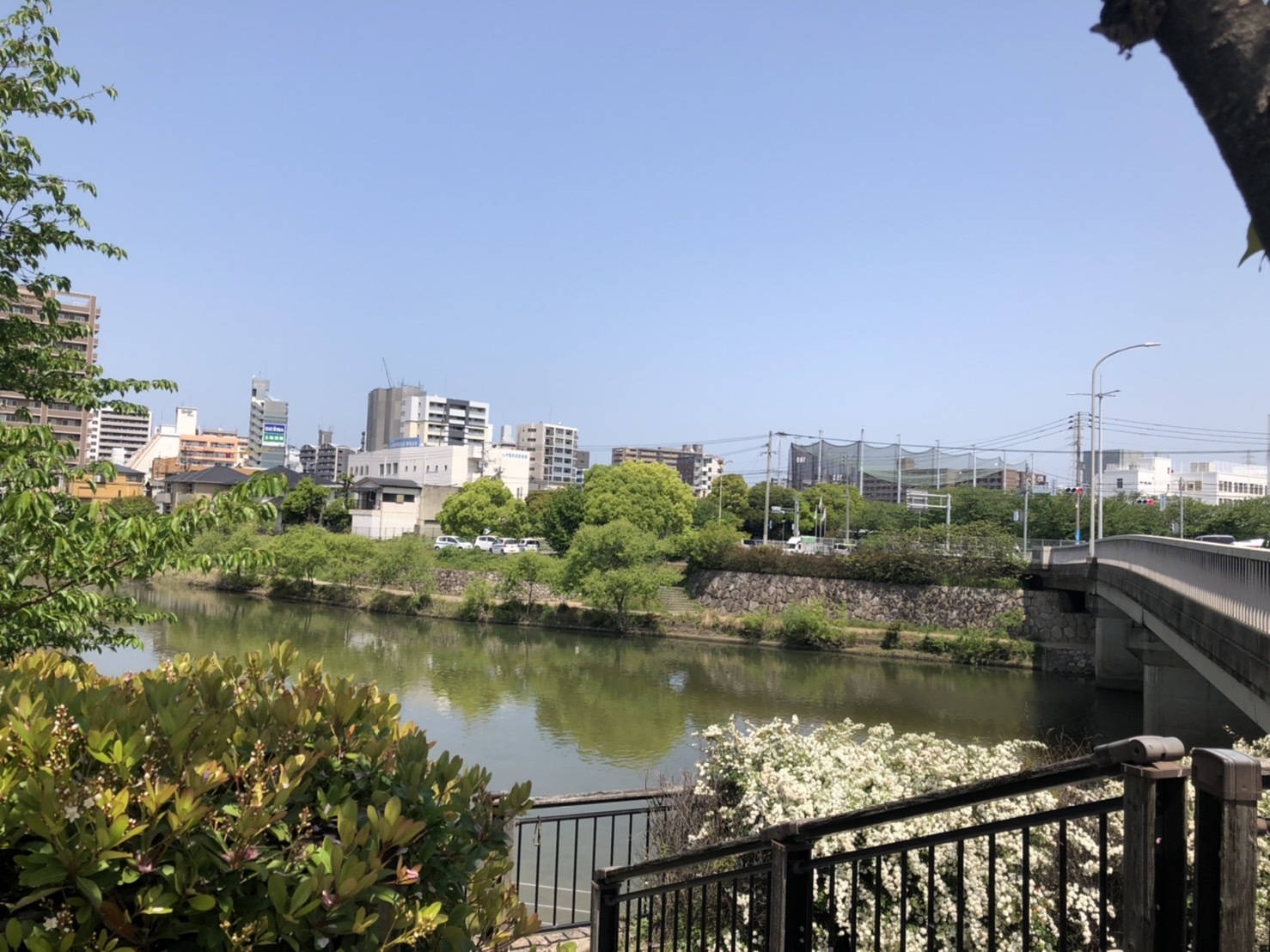 那珂川が流れる清水周辺は、最高の散歩コース！