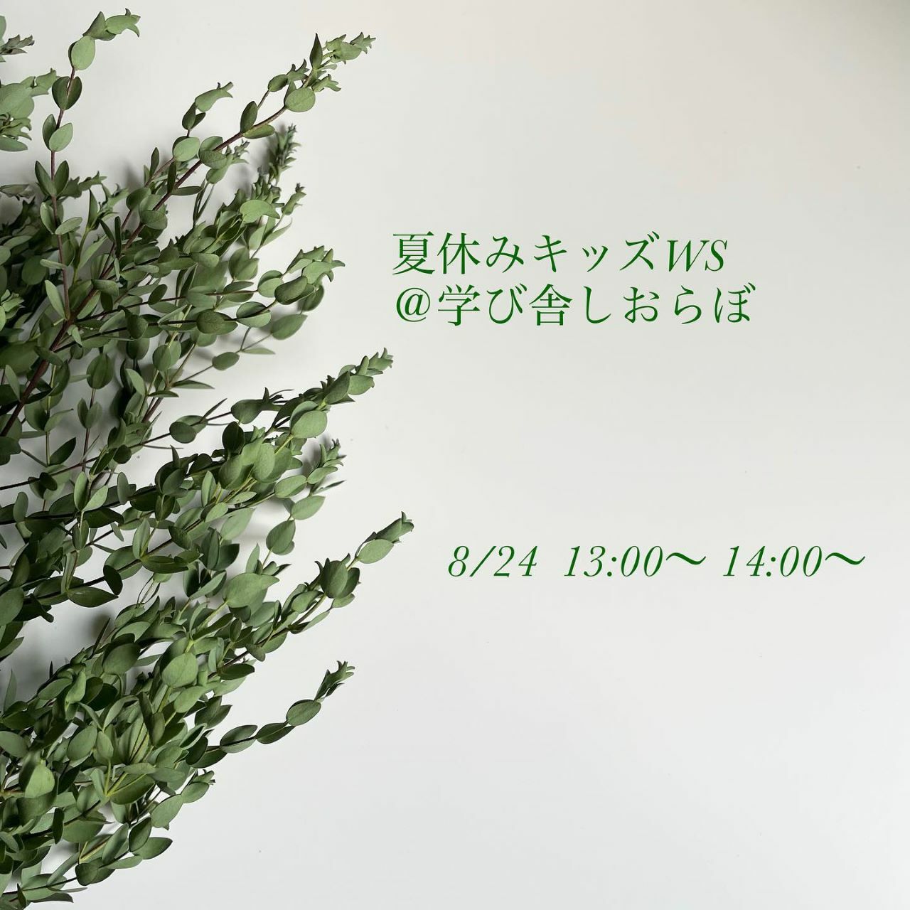 ※画像提供：Dryflower Chiyocotton(ちょこっとん) Fukuoka
