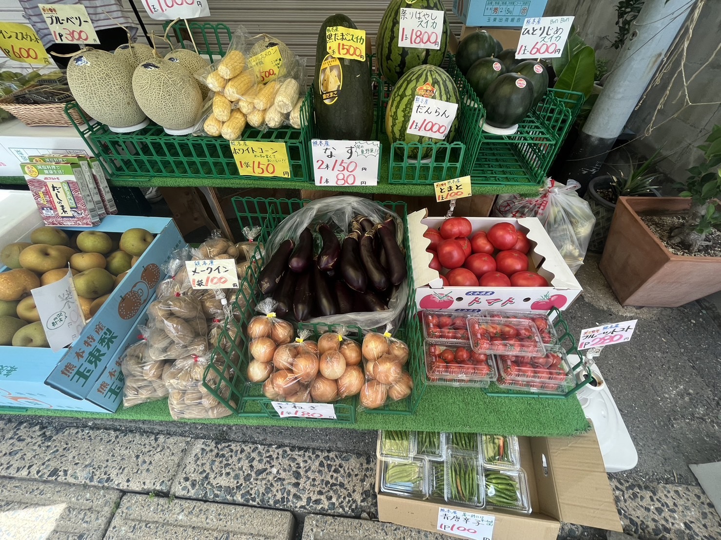 熊本県産の新鮮な野菜やフルーツがたくさん並んでいました