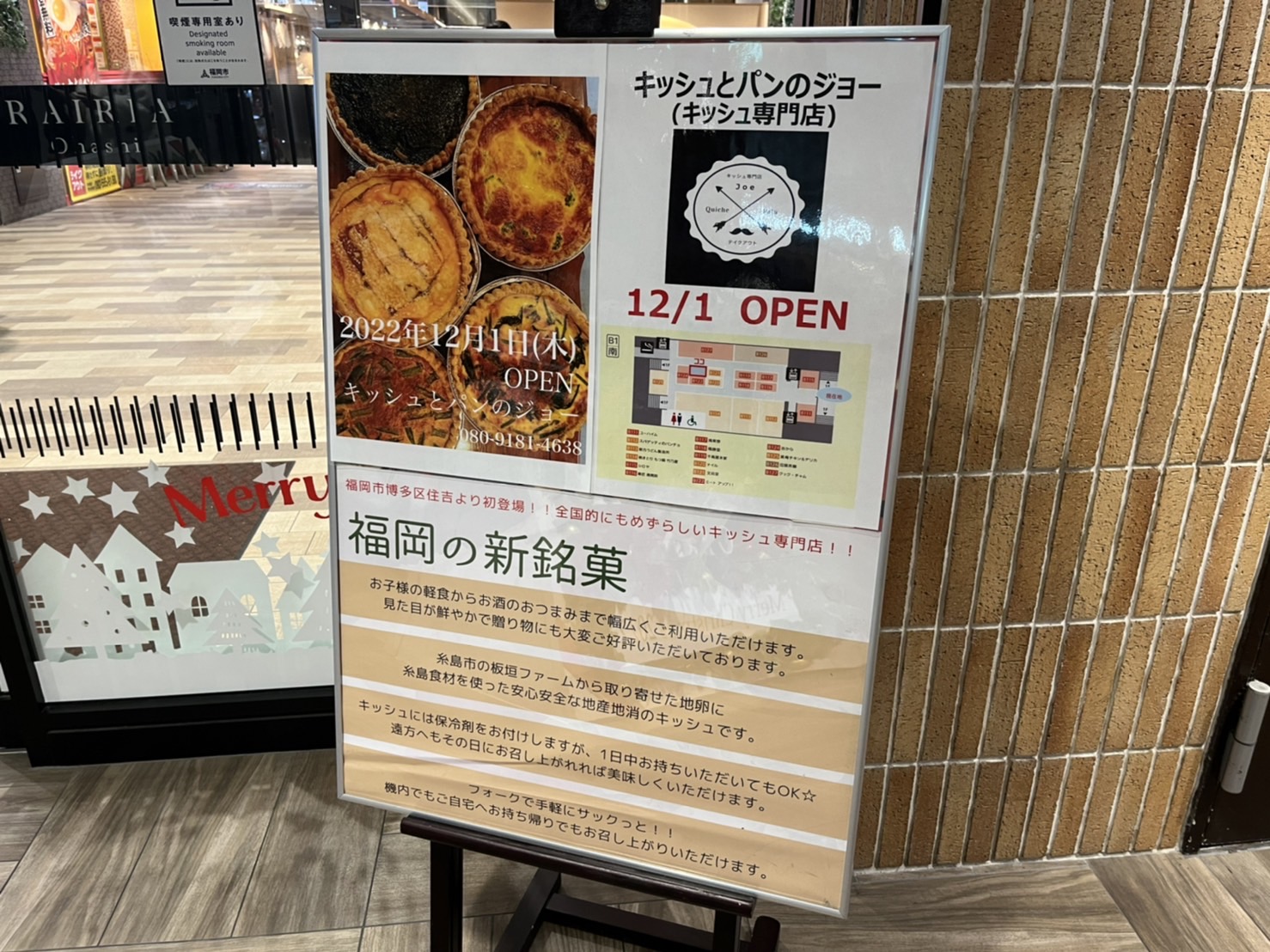 コロフォン】イザルドマルガタクワガタ Colophon izardi ペア