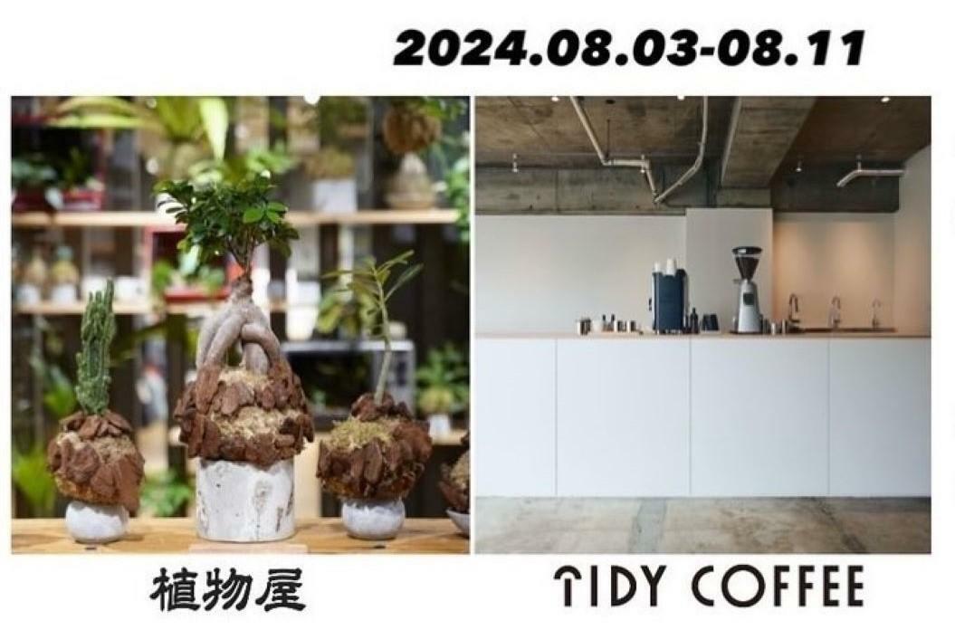 ※画像提供：TIDY COFFEE