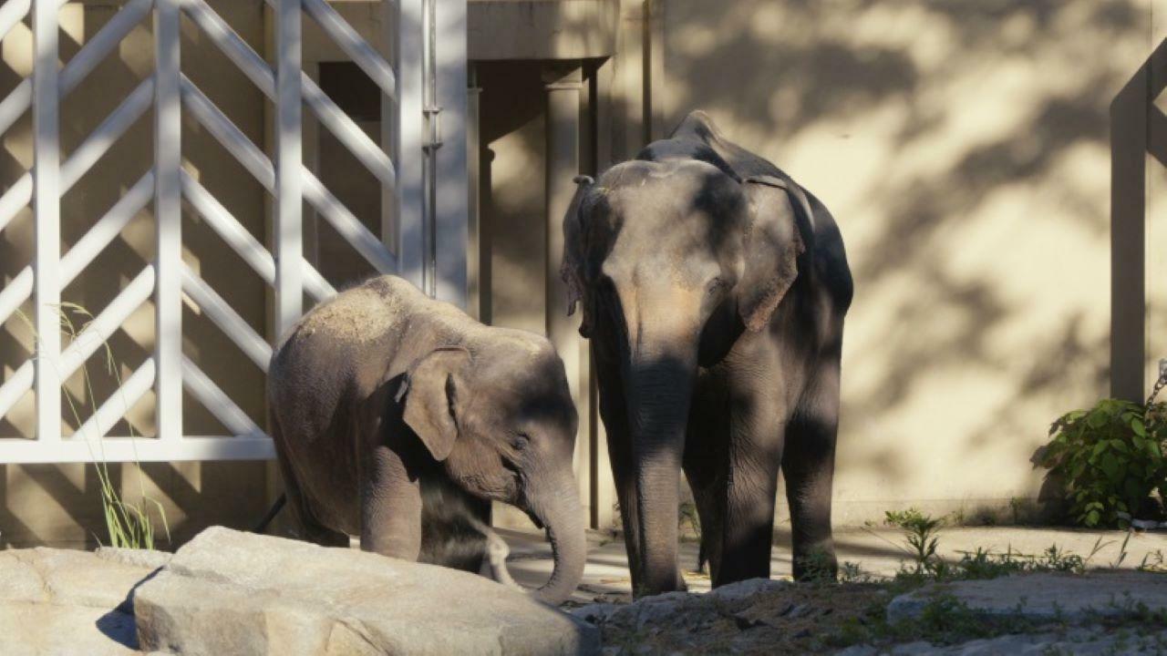 ※画像提供：福岡市動物園