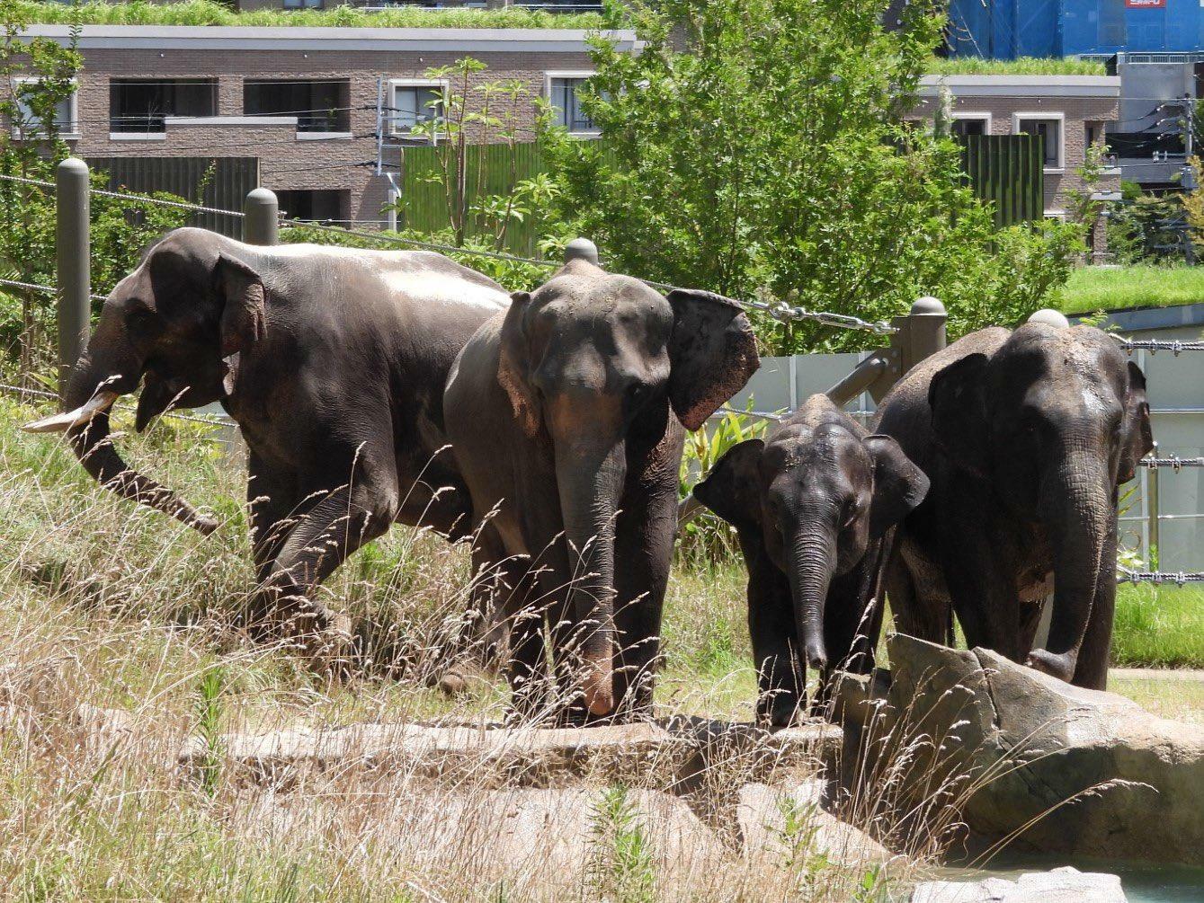 ※画像提供：福岡市動物園