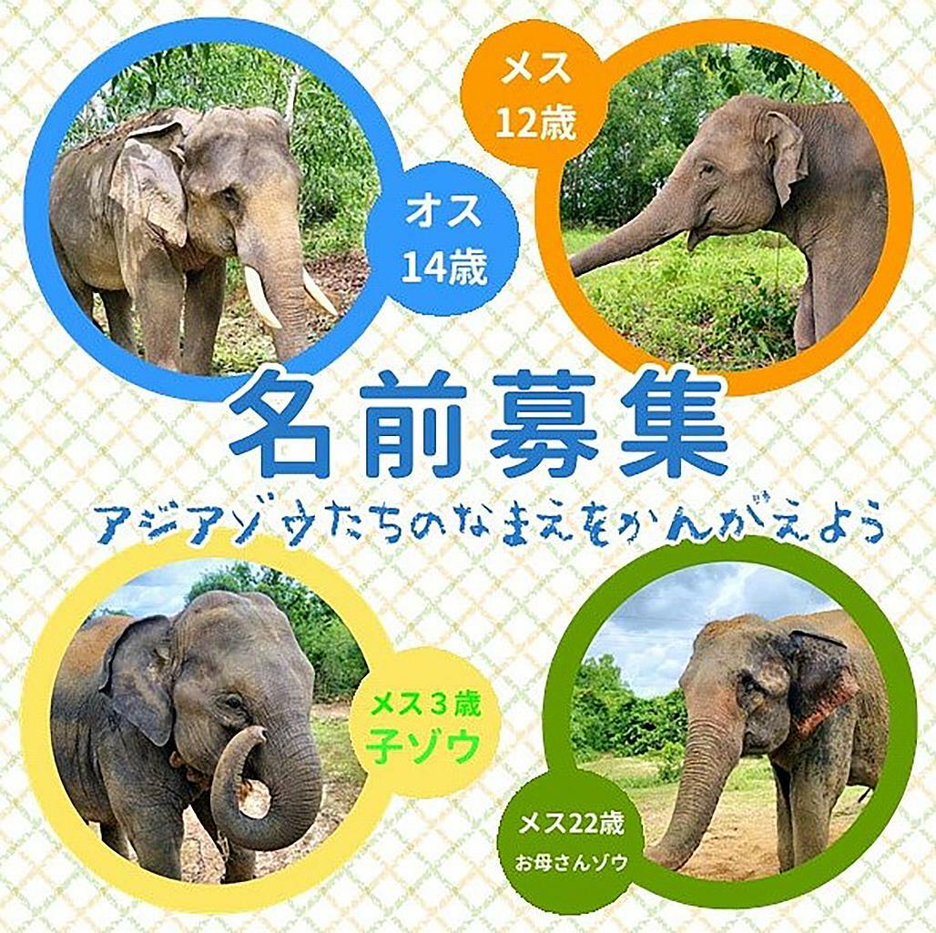 ※画像提供：福岡市動物園