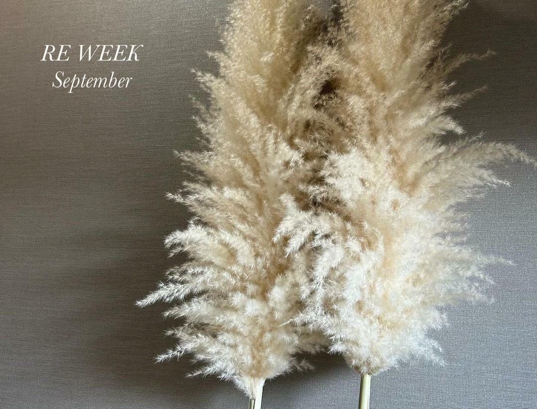 ※画像提供：Natural Dryflower×Upcycle Chiyocotton Fukuoka