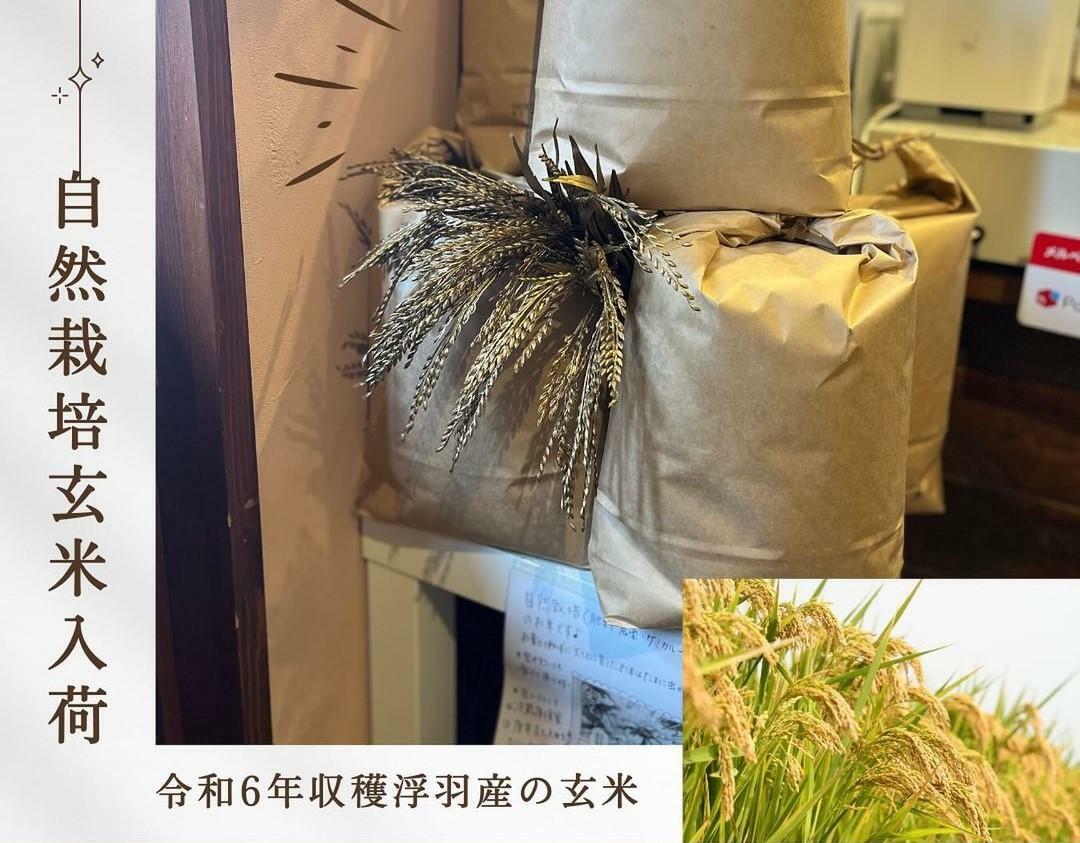 農薬・肥料・ケミカル一切不使用の自然栽培の玄米も農家さんから直販売（画像提供：酵素玄米おむすび心玄）