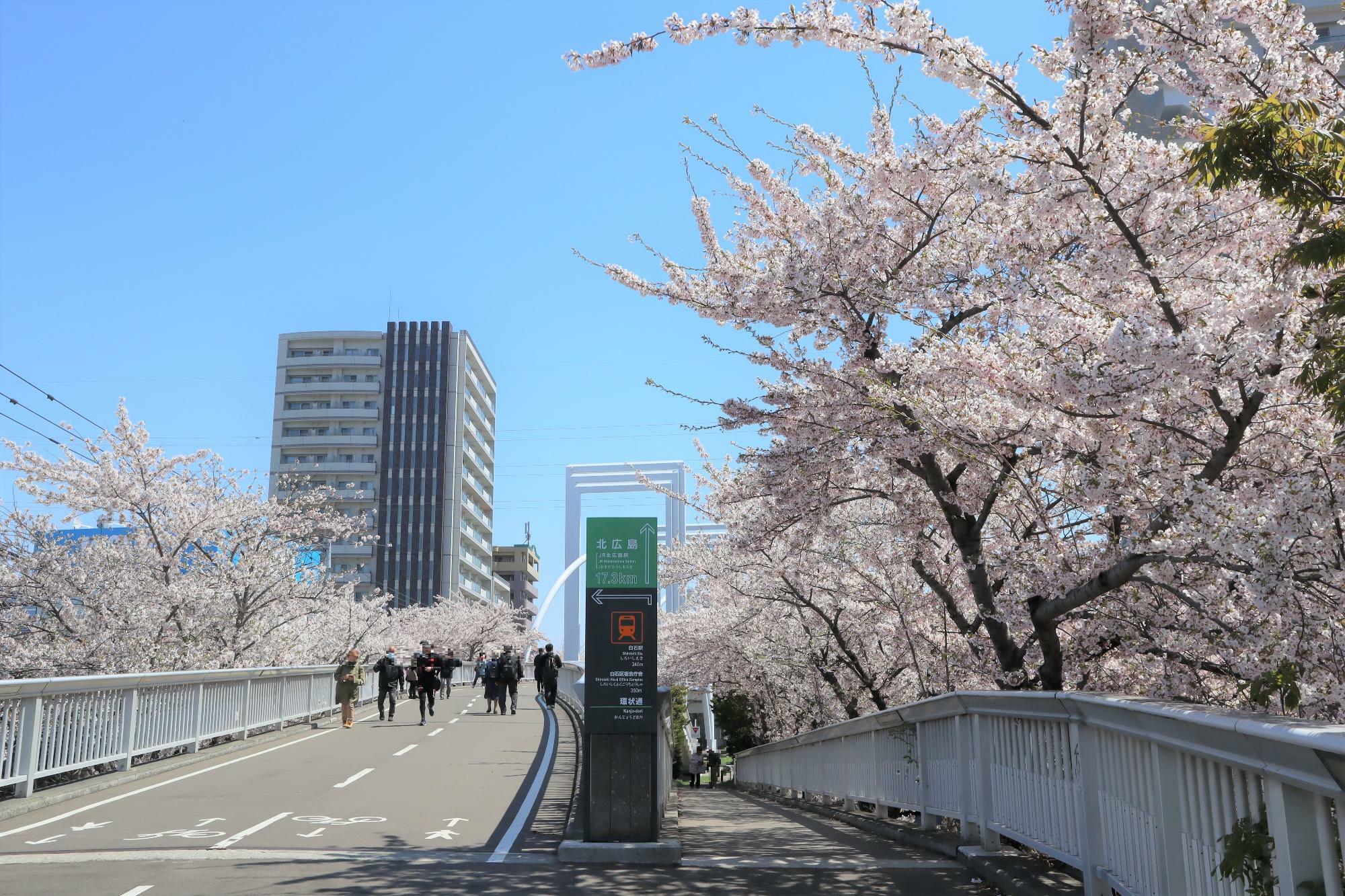 橋には２箇所スロープがあり橋の上へと繋がっているのですが、今回は白石駅から向かって右側のスロープから橋へと上がりました。