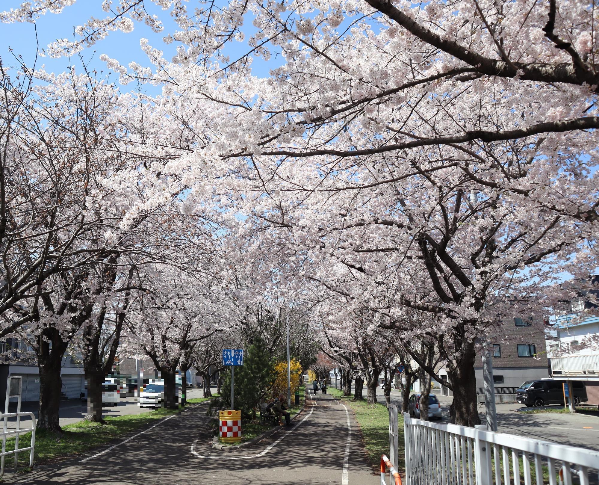 徒歩の人は右側の道路を歩きます。一方サイクリングの方は左側の道を走ります。