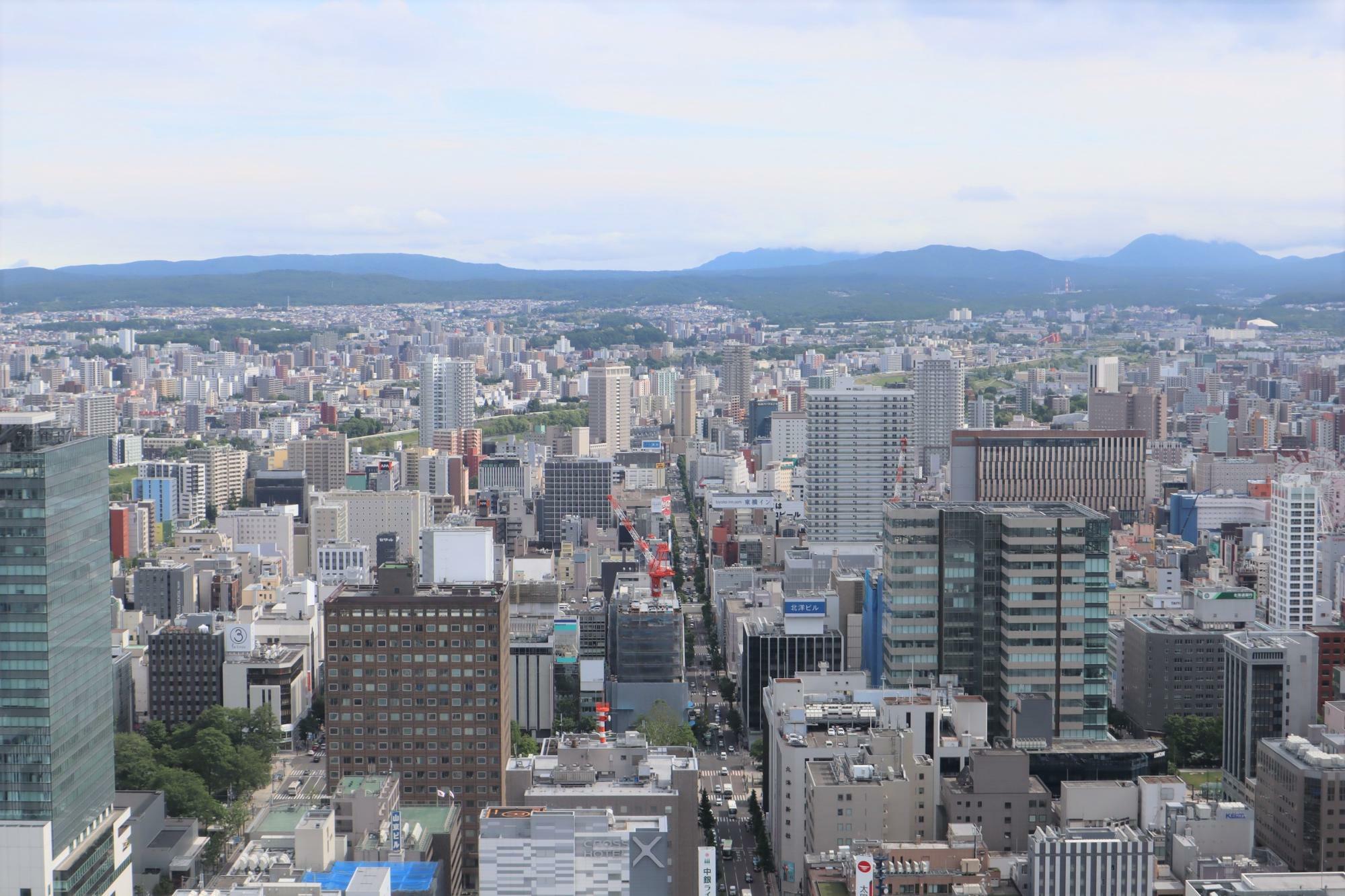左手前の茶色の建物は札幌市役所です。