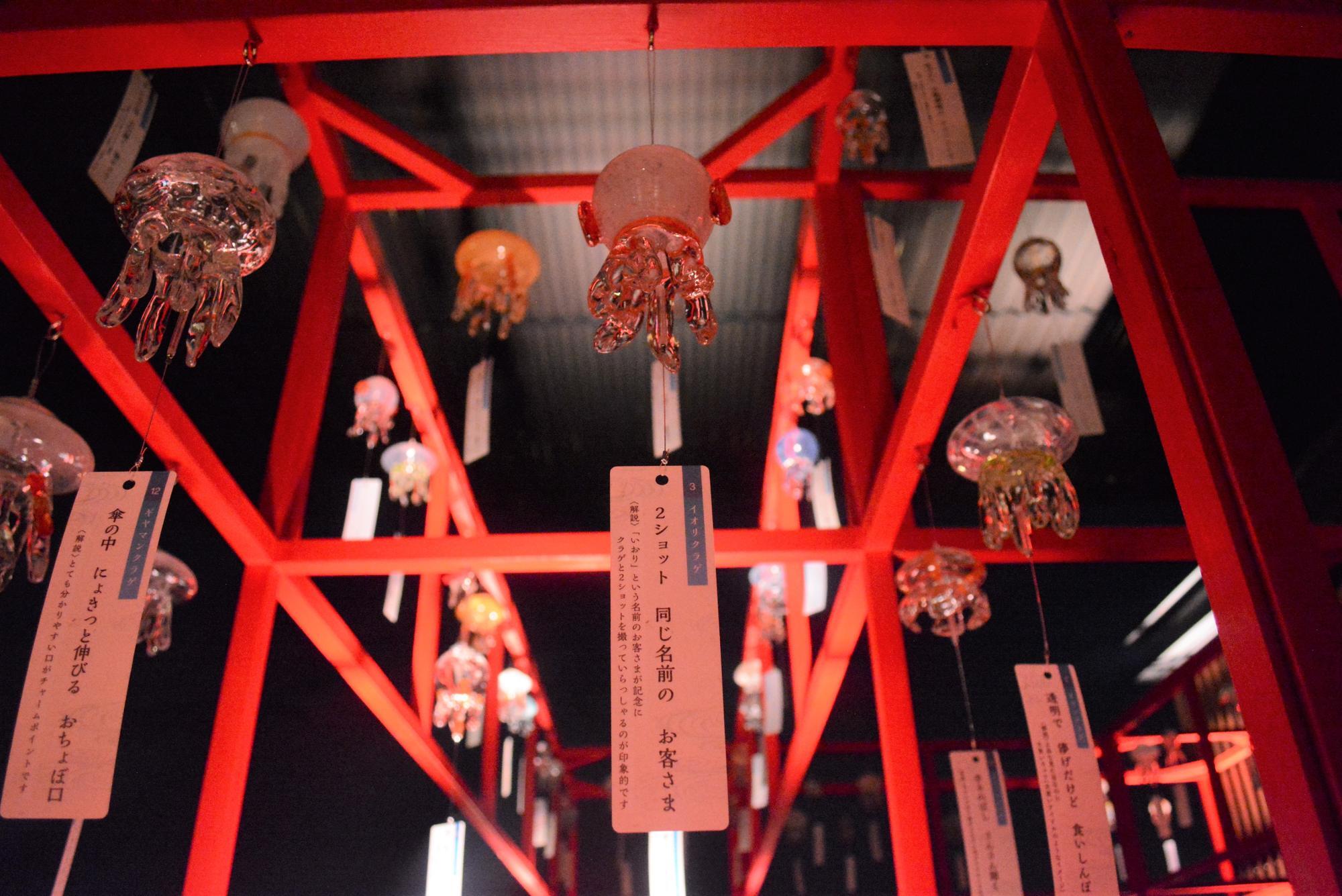 夜もまた幻想的 (写真提供:京都水族館)
