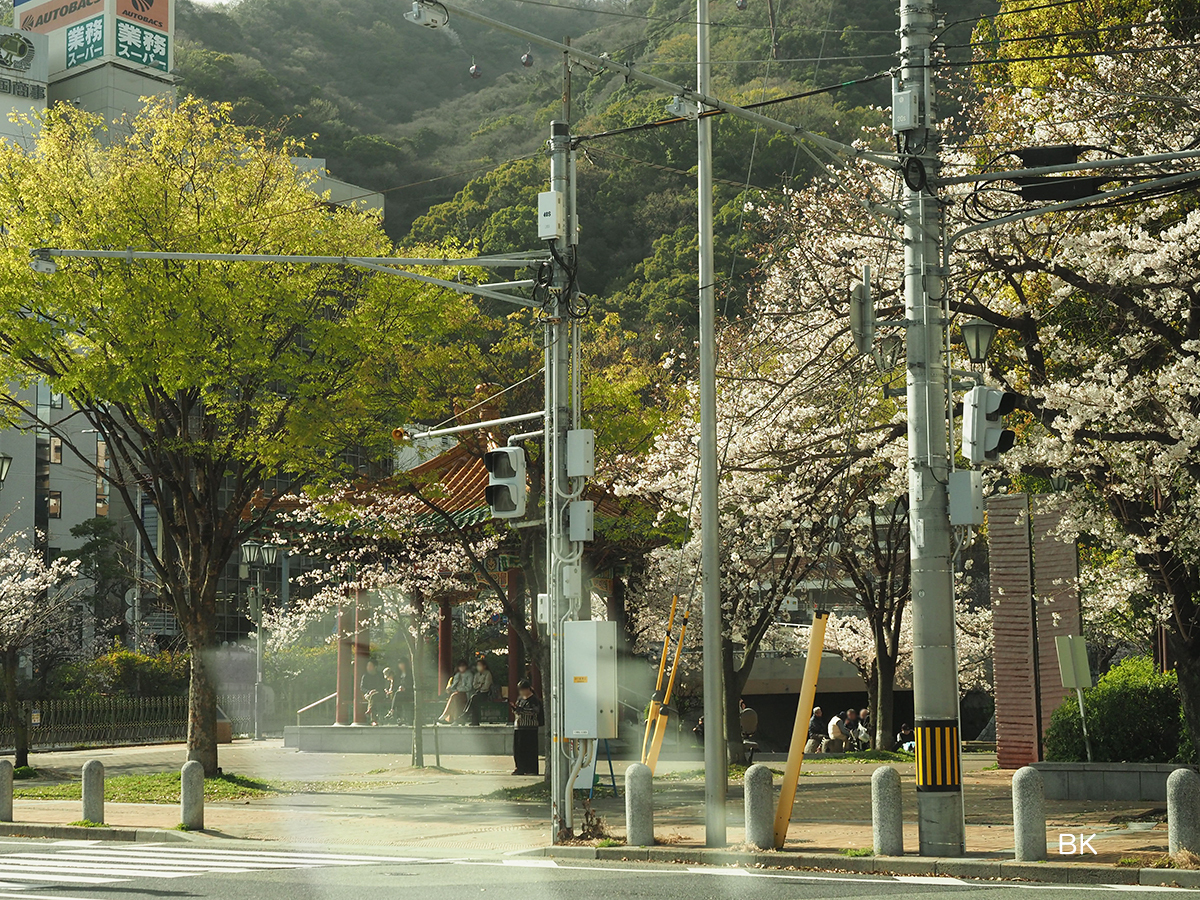 生田川公園にある天津市から贈られた連翼亭。