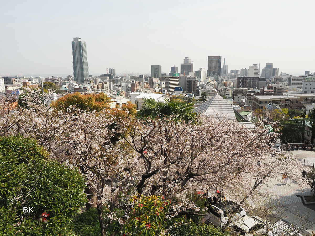 境内からは神戸の街と海を眺めることもできる。