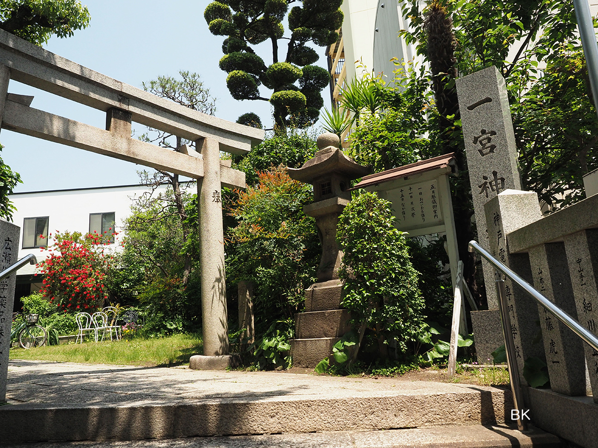 一宮神社の鳥居の奥に赤いブラシの木の花が見える。