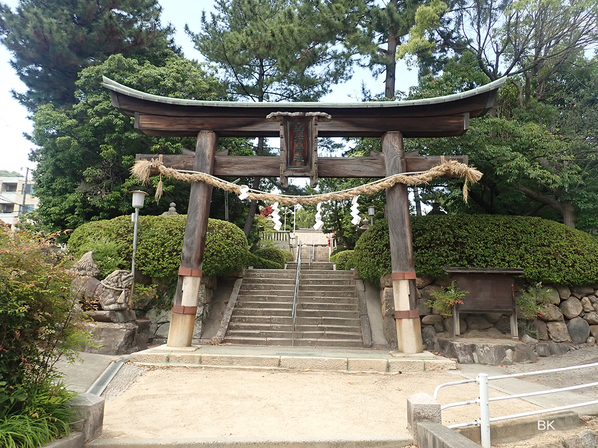 坂上がると稲荷神社がの鳥居が見えた。