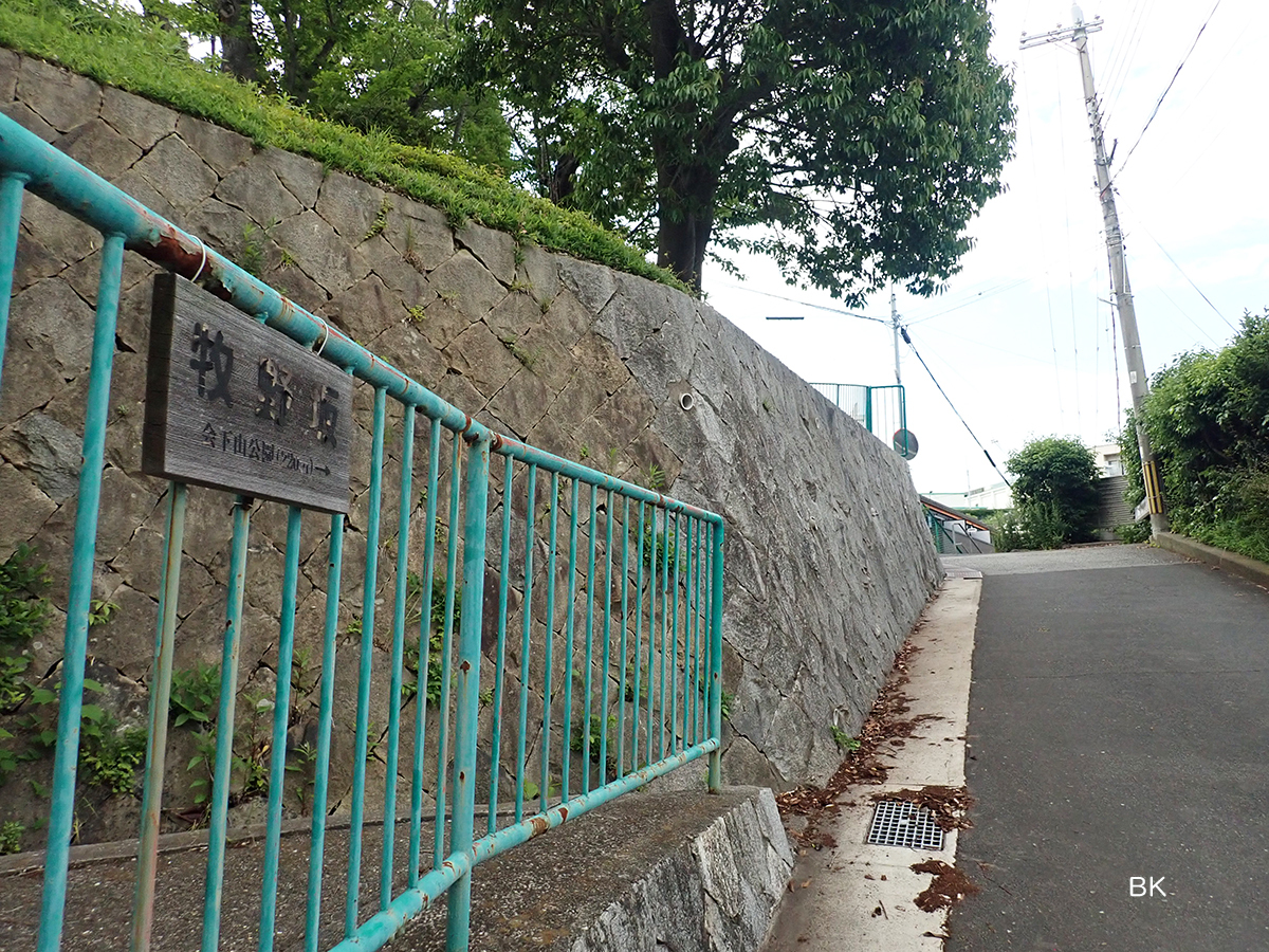 神戸市兵庫区】朝ドラのモデル牧野富太郎の記念跡地が神戸にも 神戸市兵庫区】朝ドラのモデル牧野富太郎の記念跡地が神戸にも