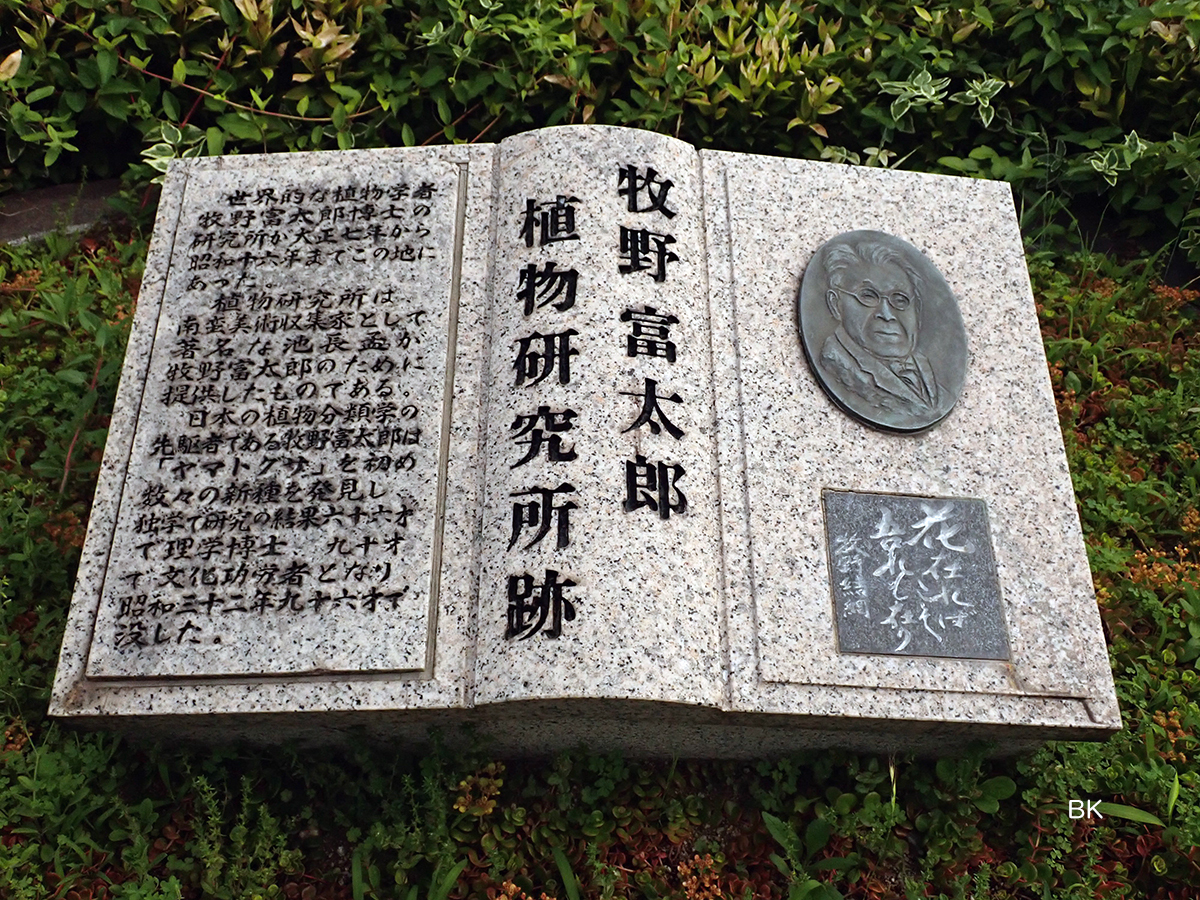 牧野富太郎の植物研究所跡の記念碑。
