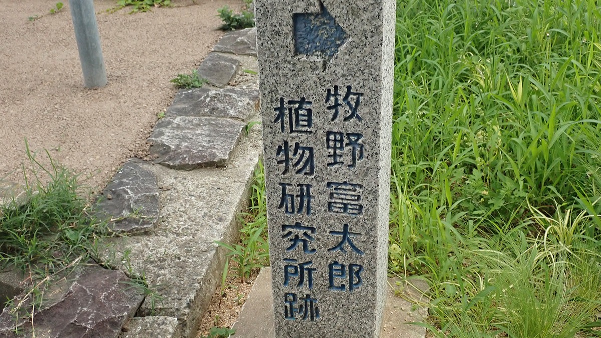 神戸市兵庫区】朝ドラのモデル牧野富太郎の記念跡地が神戸にも 神戸市兵庫区】朝ドラのモデル牧野富太郎の記念跡地が神戸にも