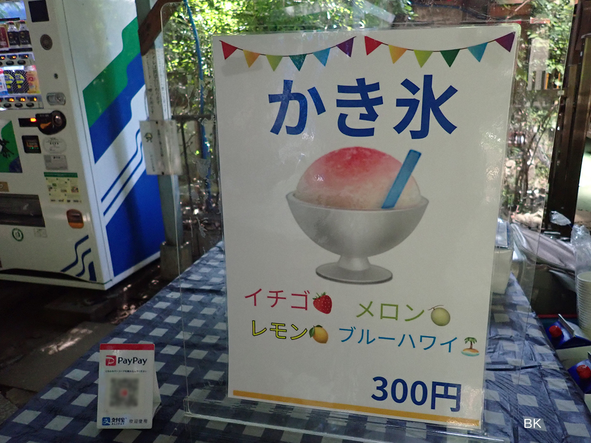 おんたき茶屋のかき氷、なんと300円。