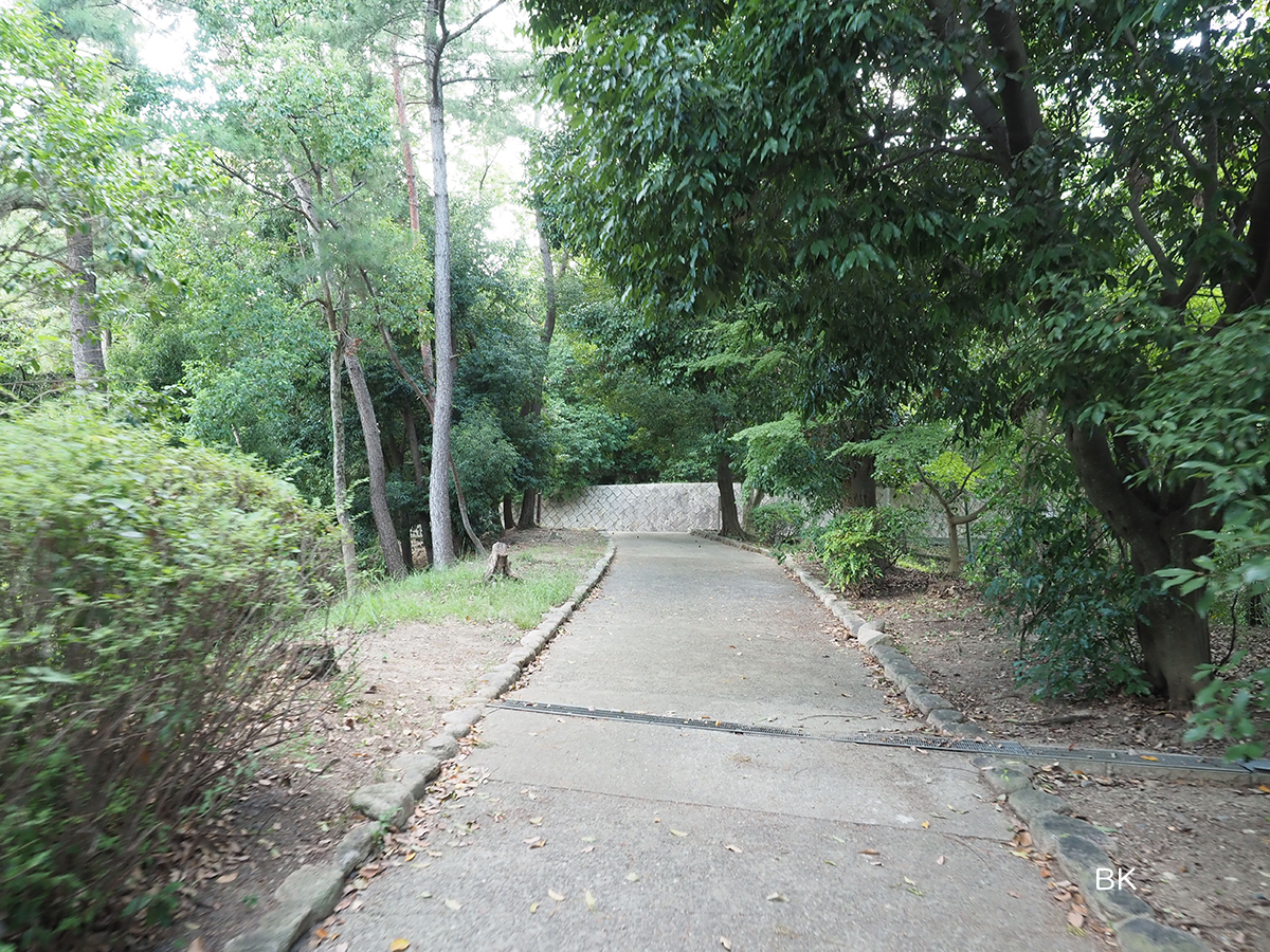 ジョギングコースにもなっている公園の道。
