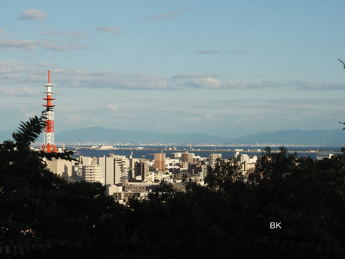 海寄りの景色も望める。