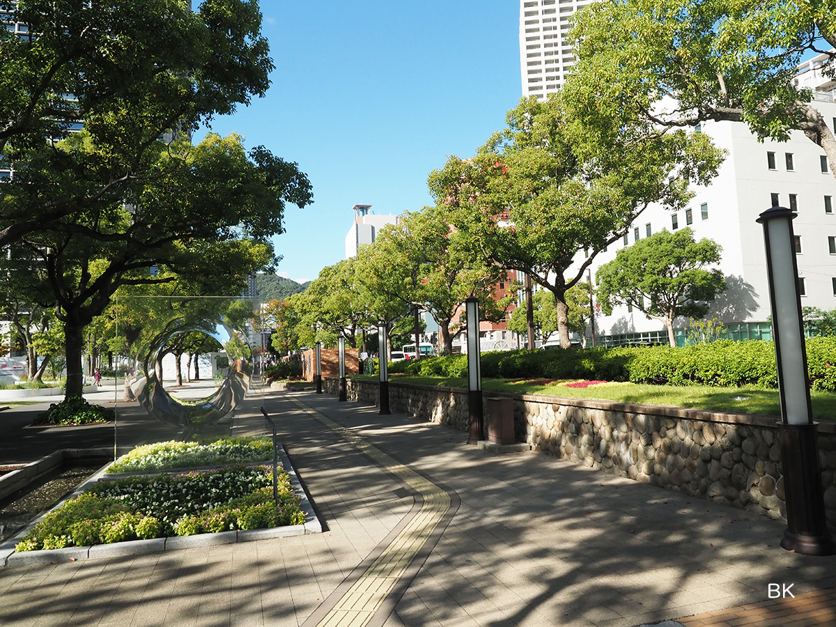 東遊園地沿いには街路樹が植えられている。