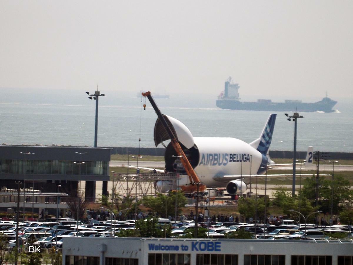 2023年5月に神戸空港に着陸したベルーガST機。