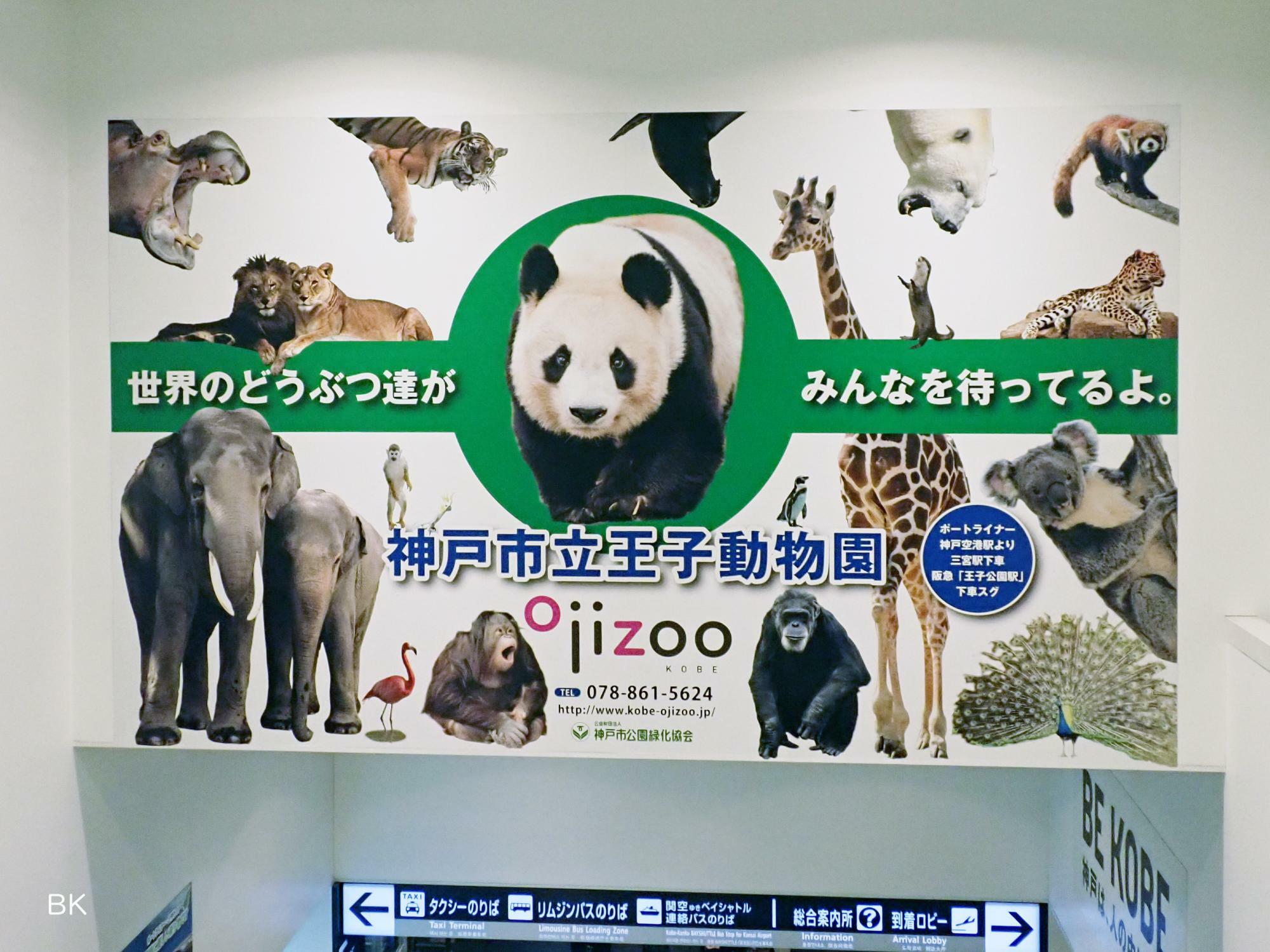 神戸空港にある王子動物園の看板もタンタンが主役。