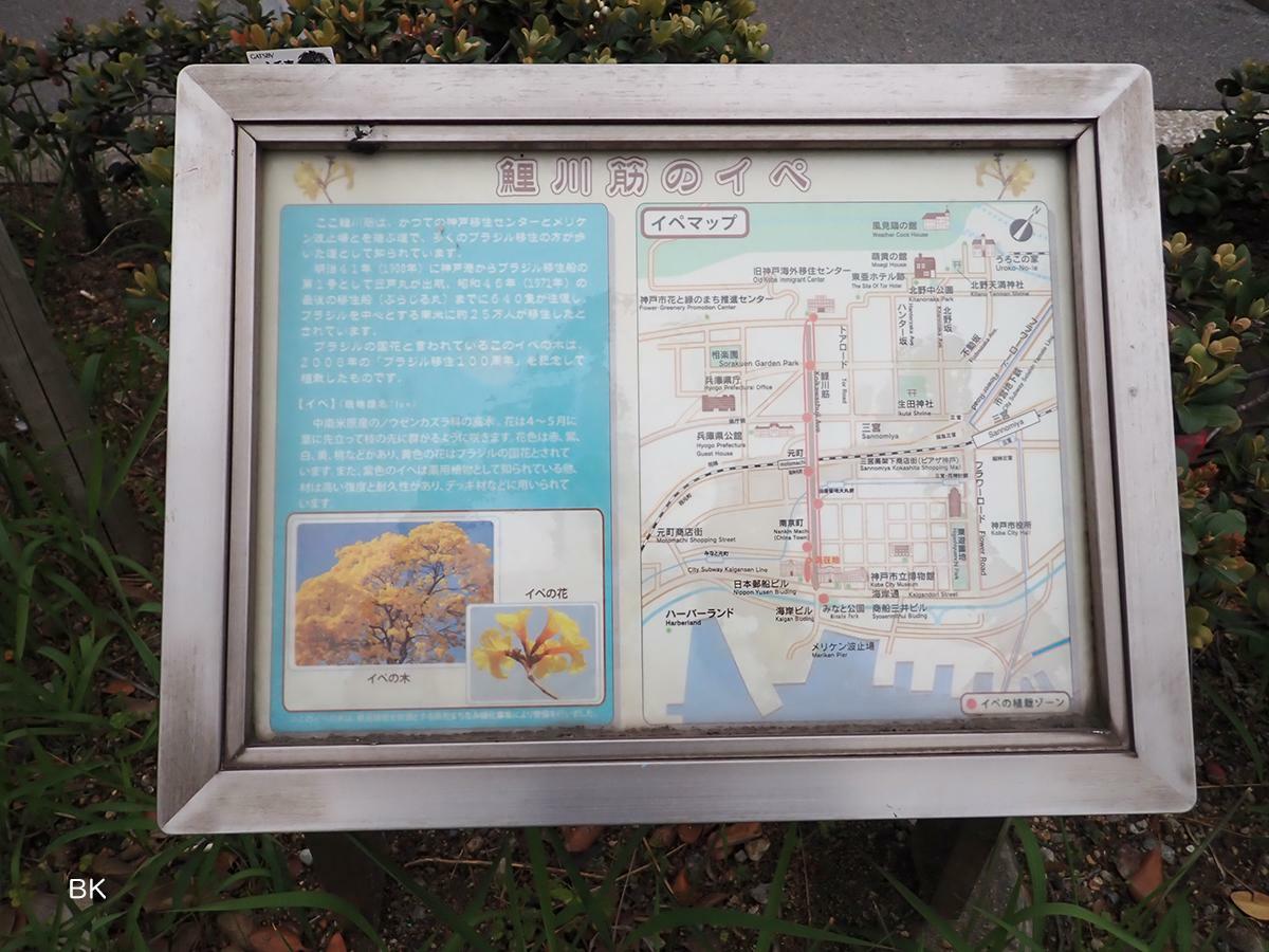 鯉川筋にあるイペの解説とマップ。