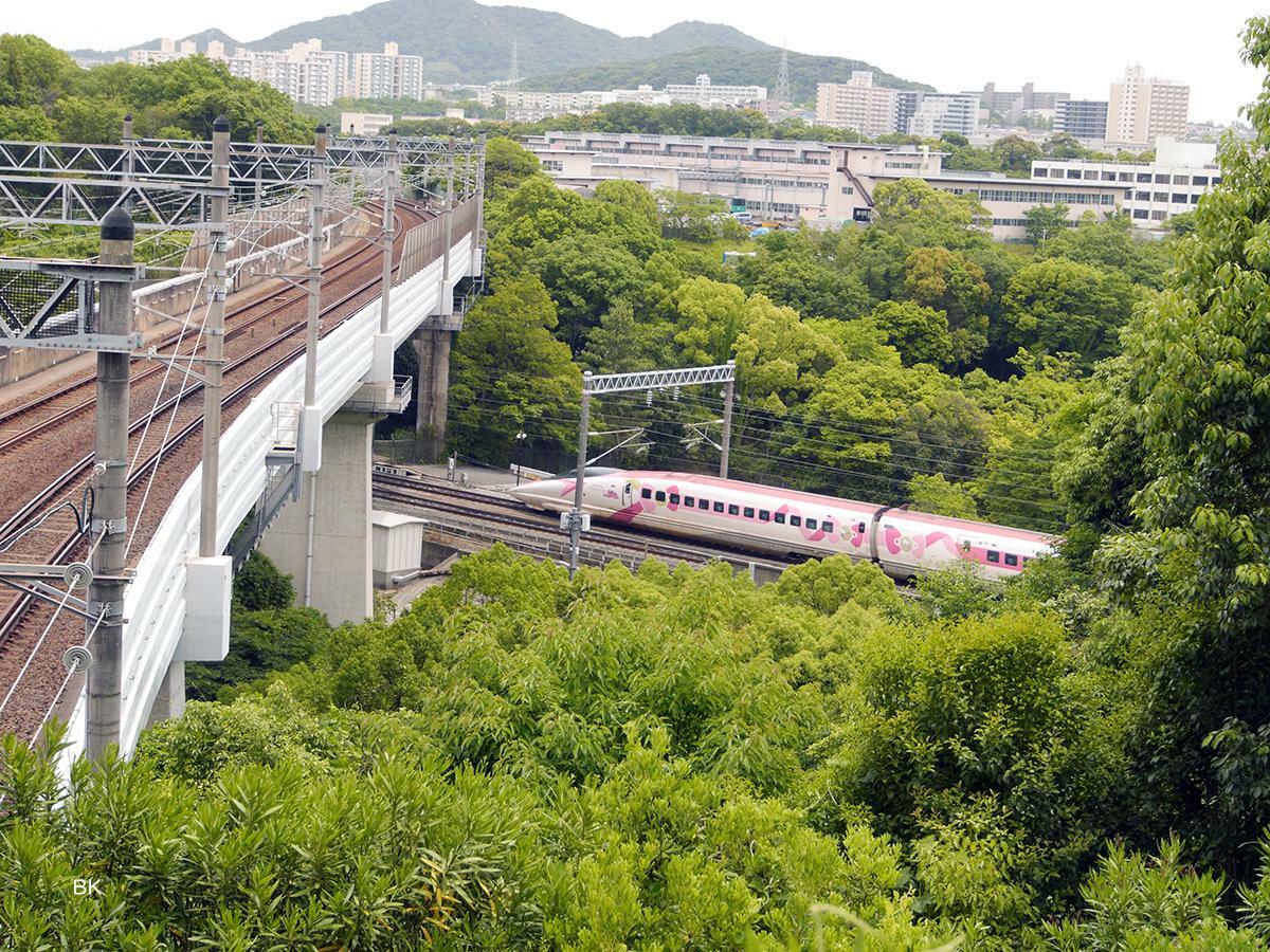 ハローキティ新幹線が通った。