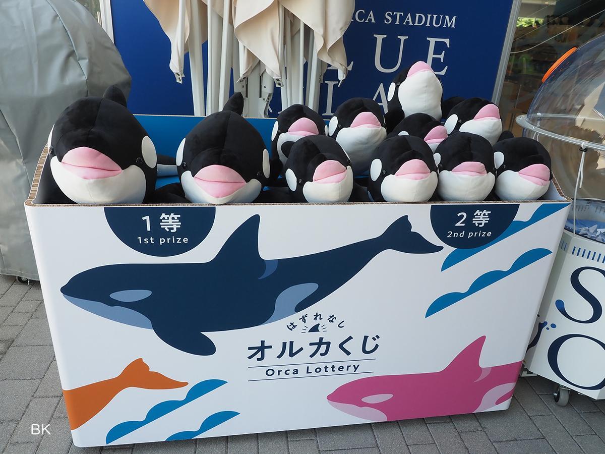神戸市】大人気!ぬいぐみが必ず当たる 「オルカくじ&ドルフィン 神戸市】大人気!ぬいぐみが必ず当たる 「オルカくじ&ドルフィン