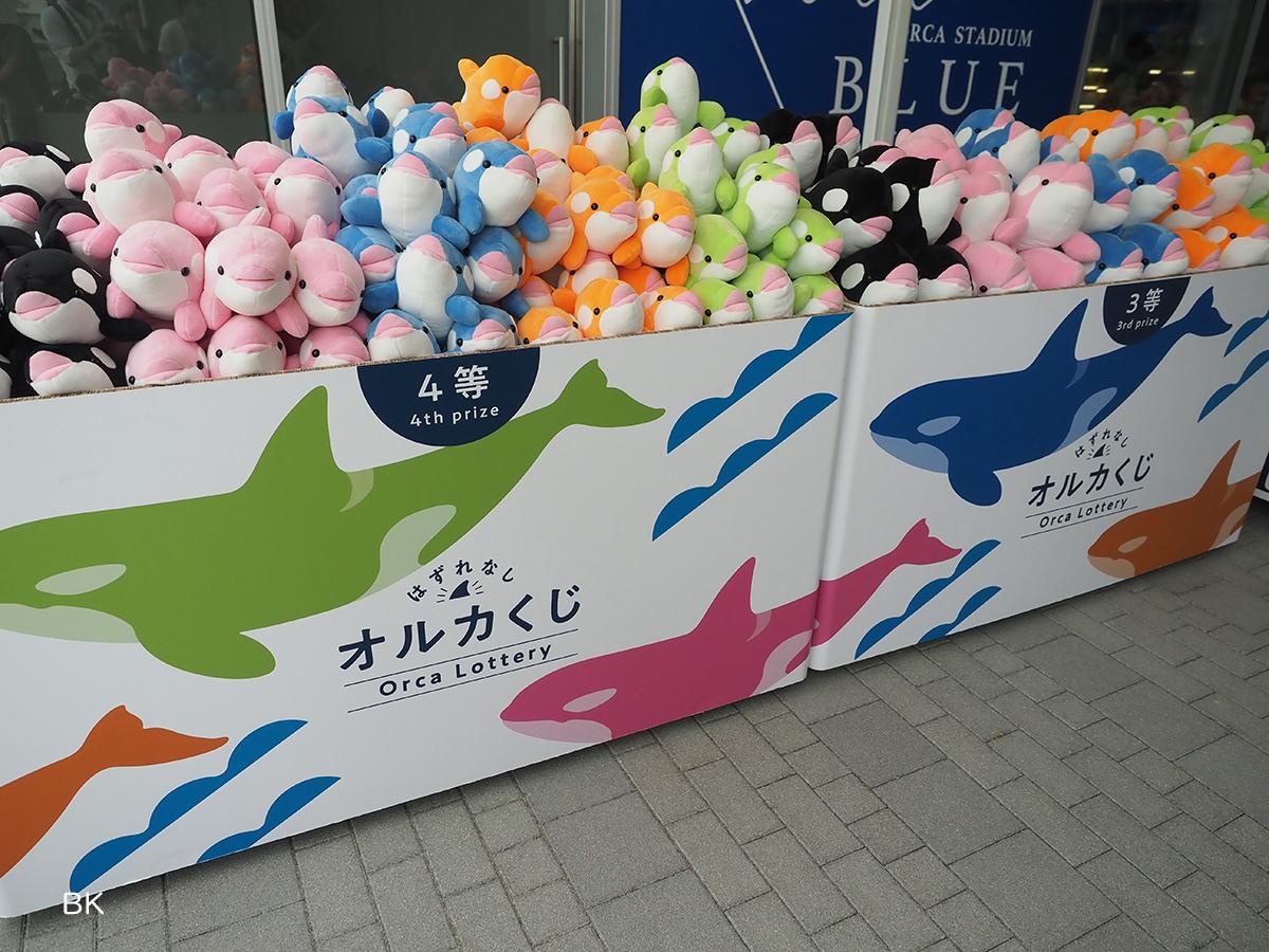 神戸須磨シーワールド オルカくじ 一等