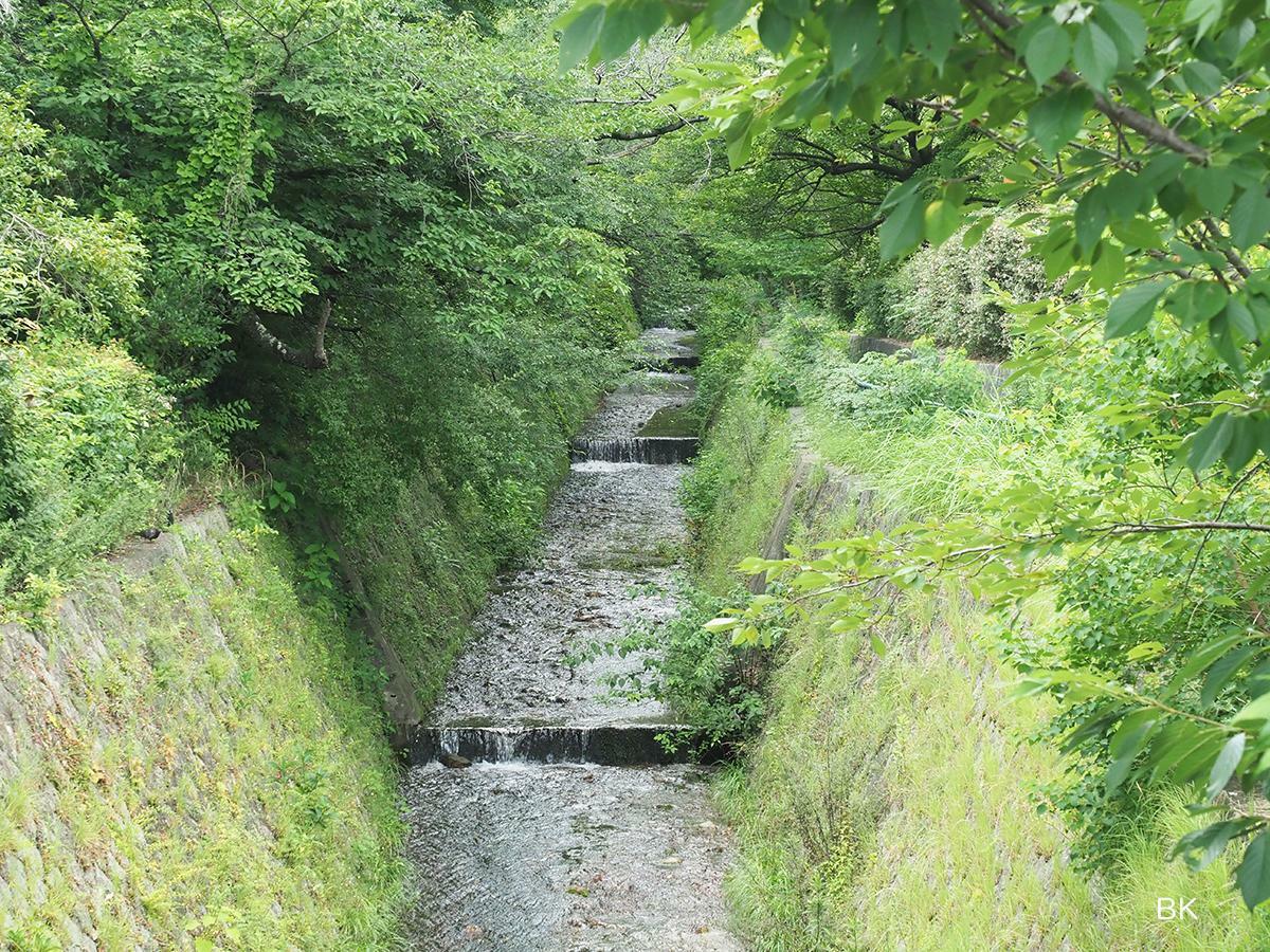 北側は緑のなかに川を眺められる。