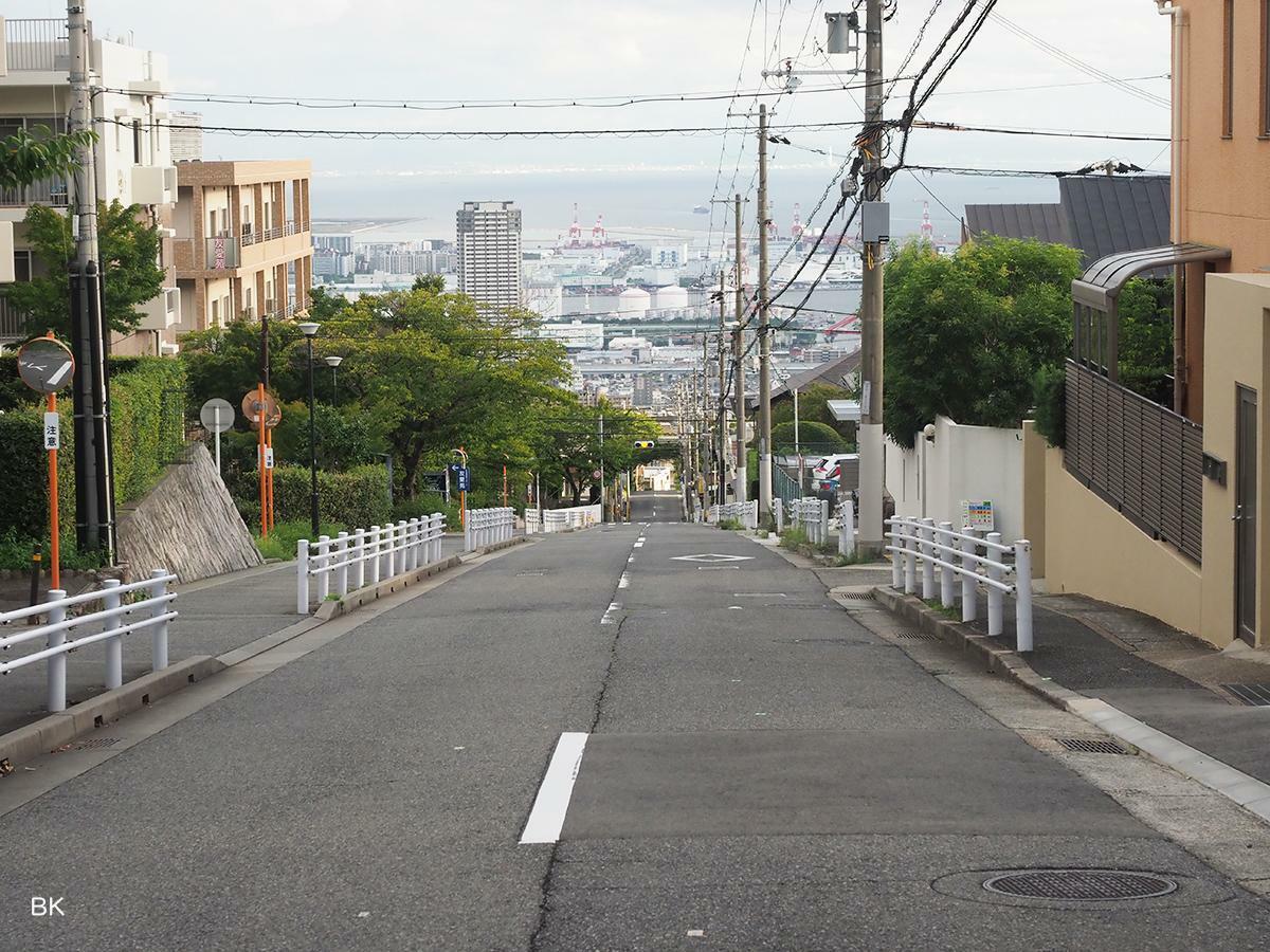 渦森台から見た鴨子ケ原の坂道。