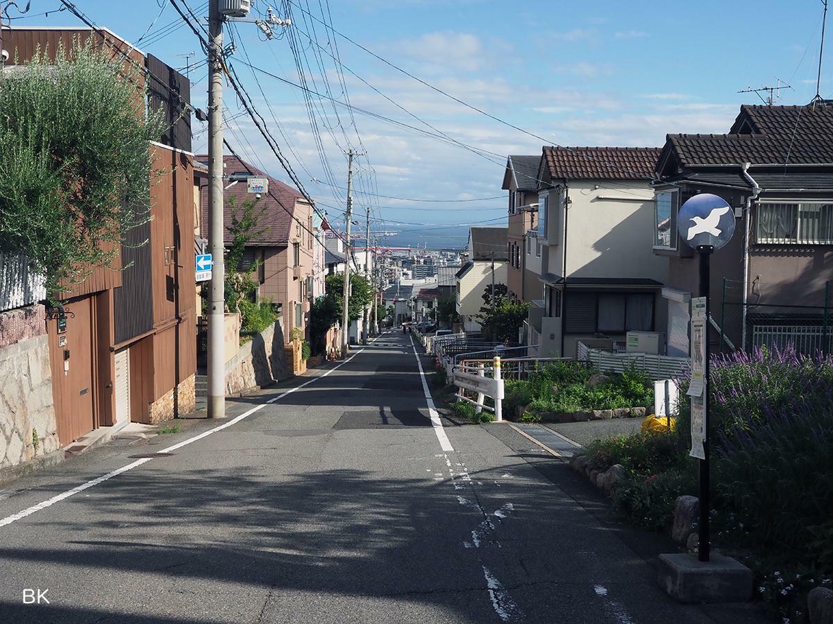 坂バスのバス停前に広がる坂道。