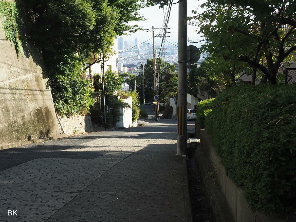 赤塚山小公園から見た「くねくね坂」。