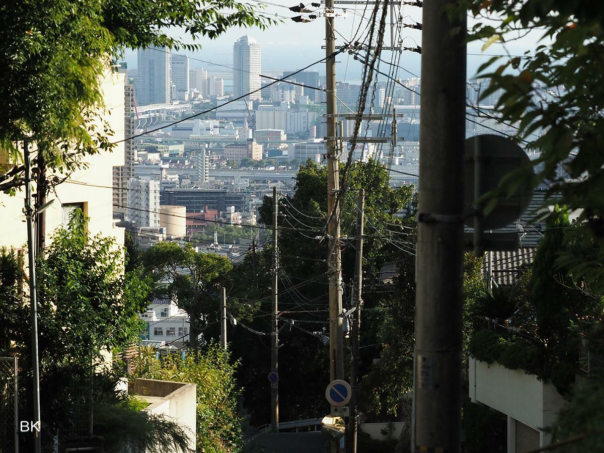 「くねくね坂」から見える風景。