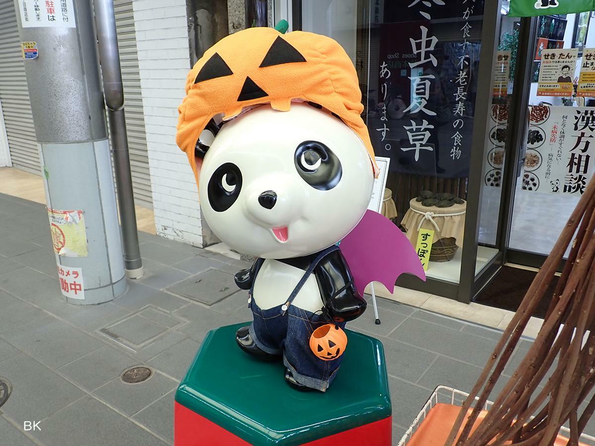 漢方薬局の看板パンダもハロウィン仕様。