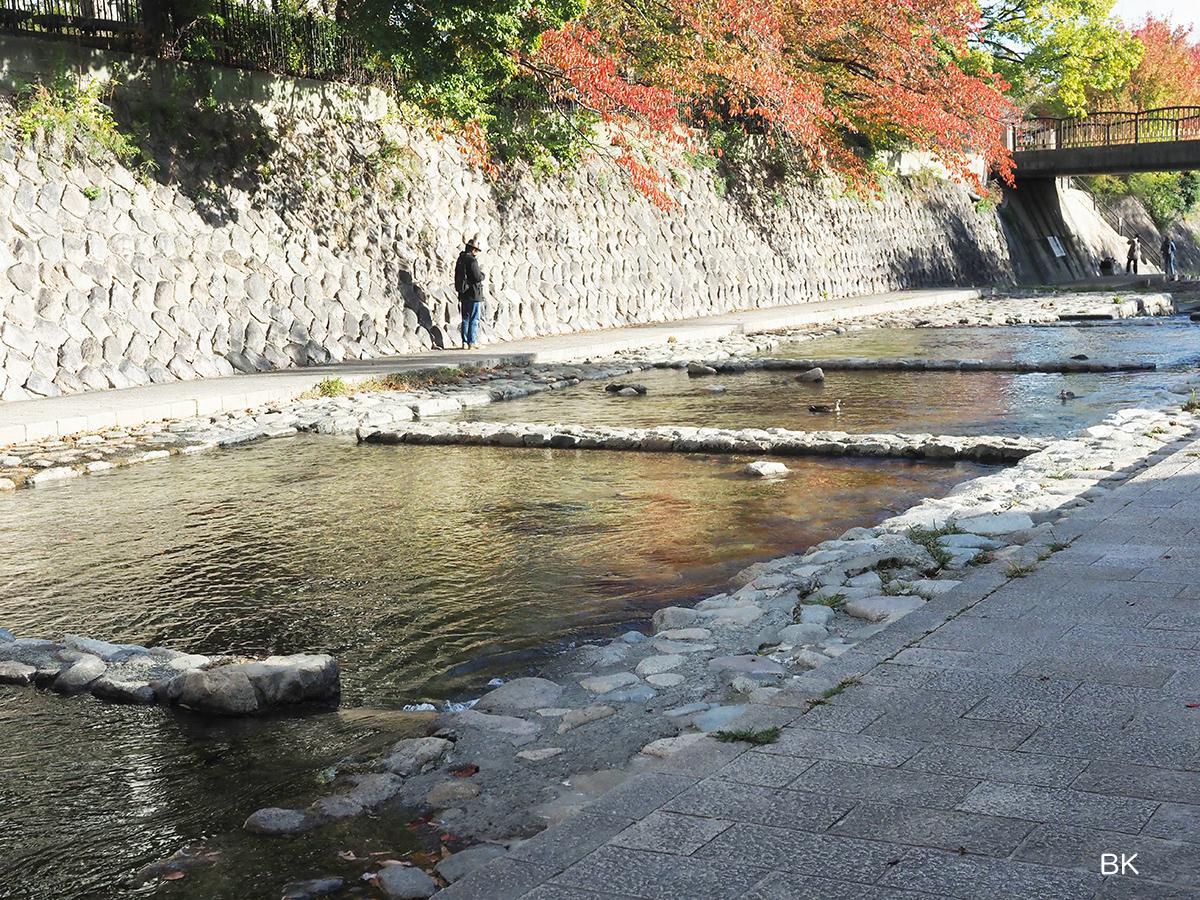 防災紙芝居が行われていた川の近く。