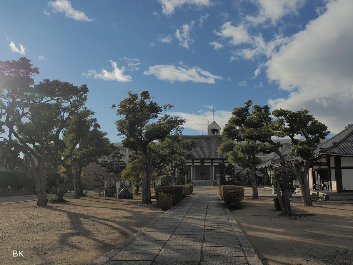 真光寺。