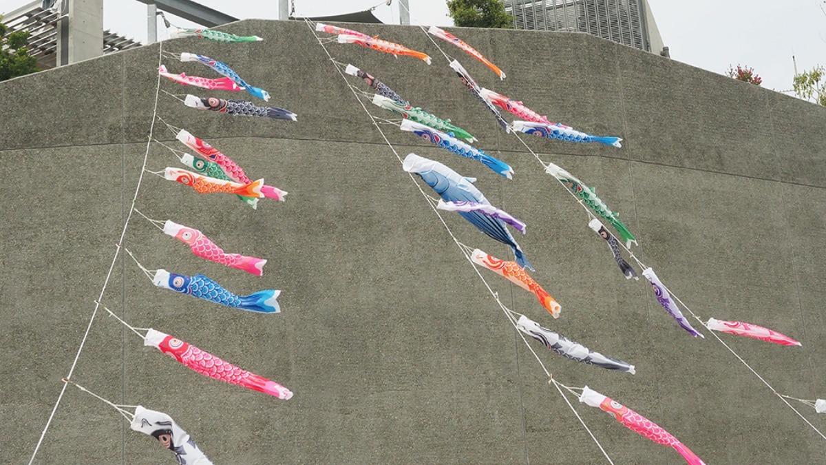 神戸市】神戸突堤に泳ぐ43匹のこいのぼりの景色が壮観（Best