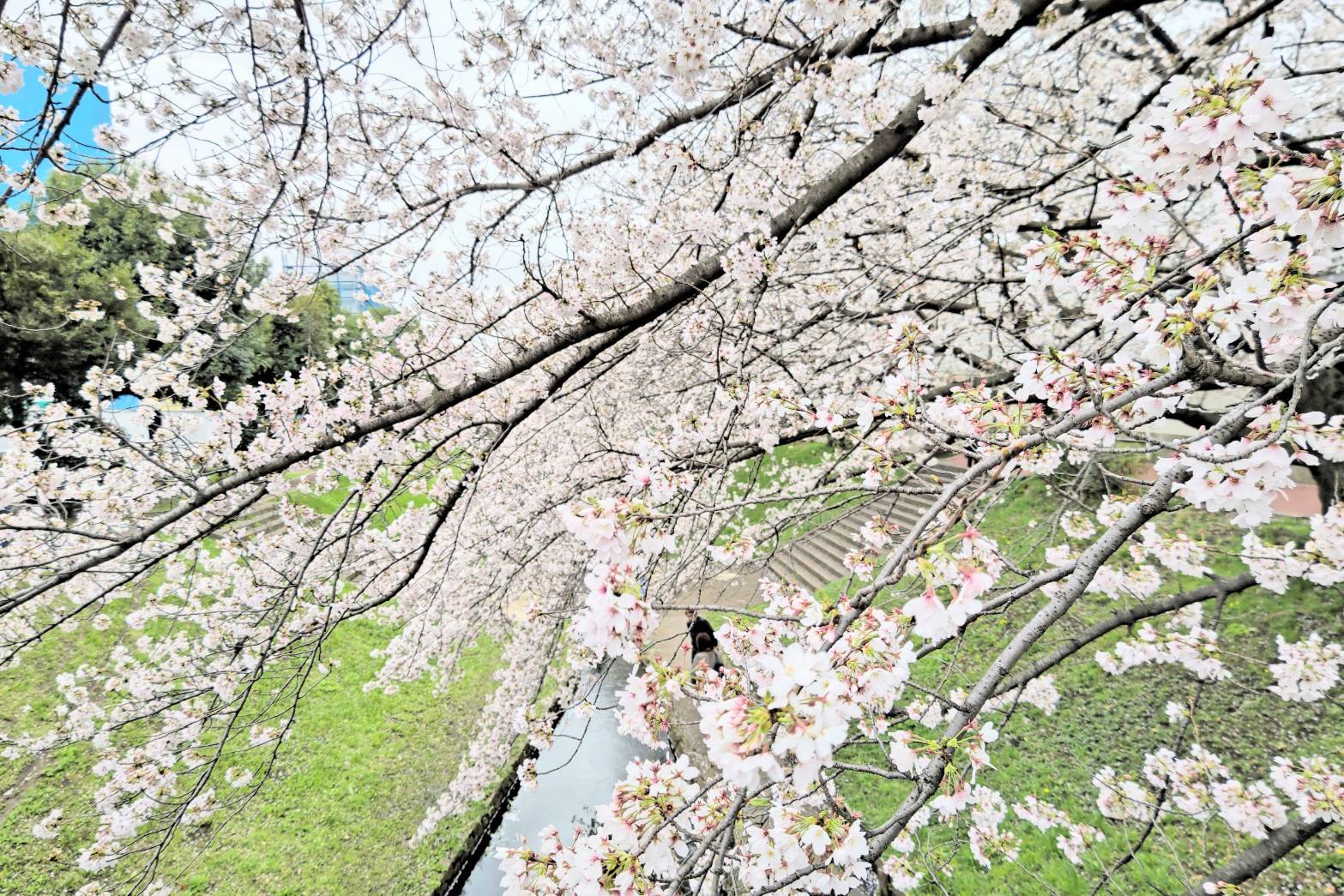 階段を降り、小川沿いの遊歩道を歩いていきます。