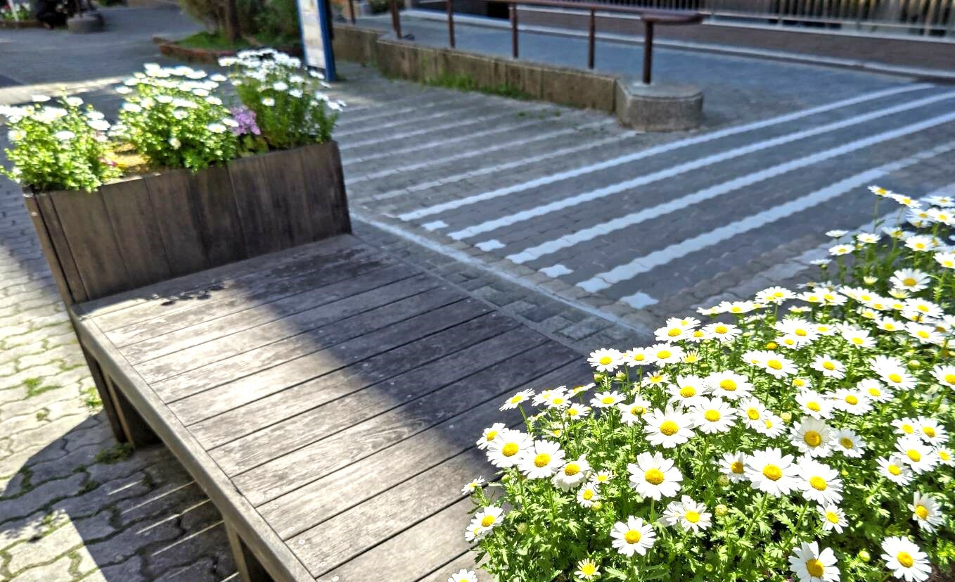 可愛い花のベンチ