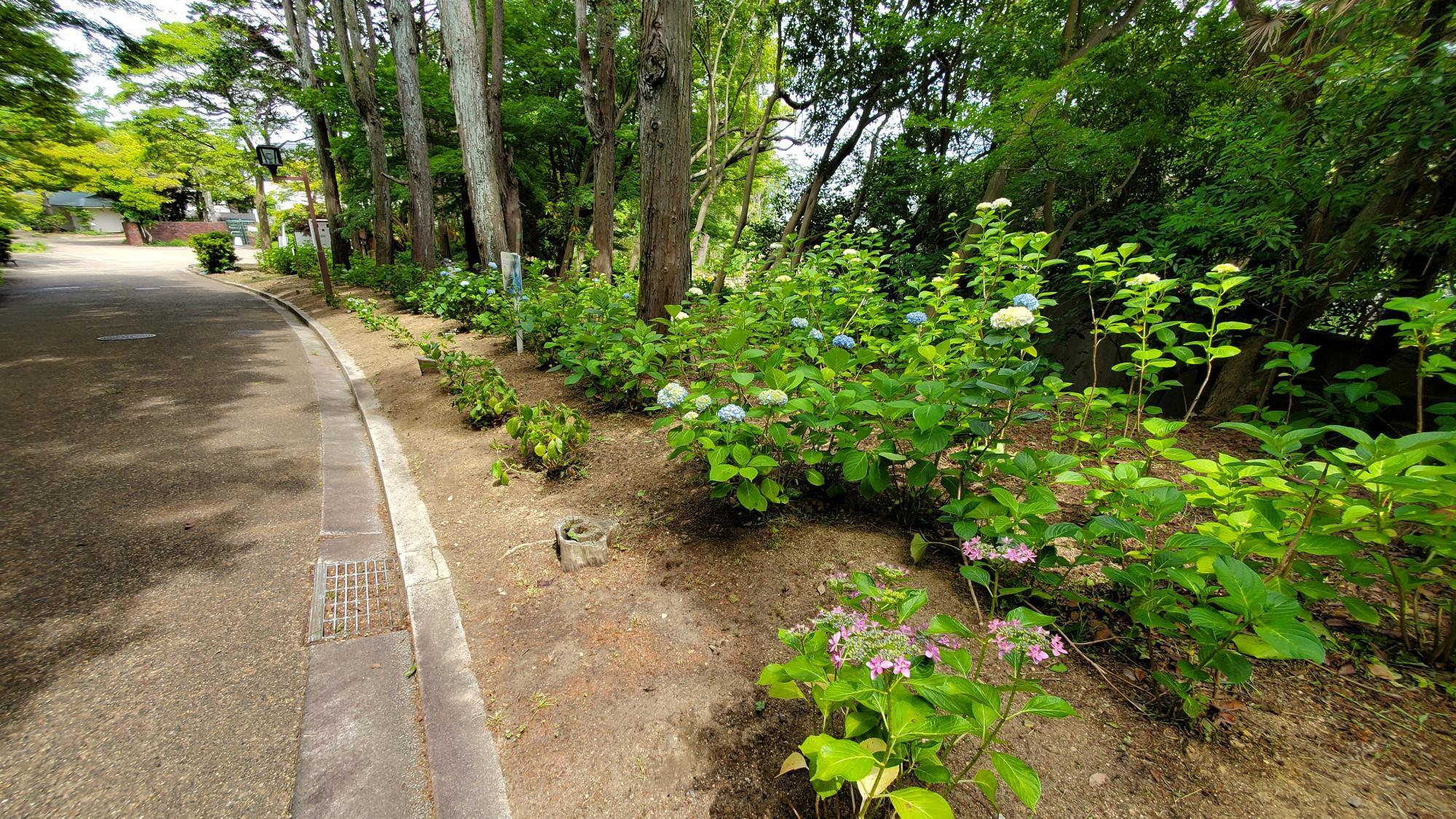 離宮の庭 517mEwCRu4L._AC_SY200_QL15_.jpg