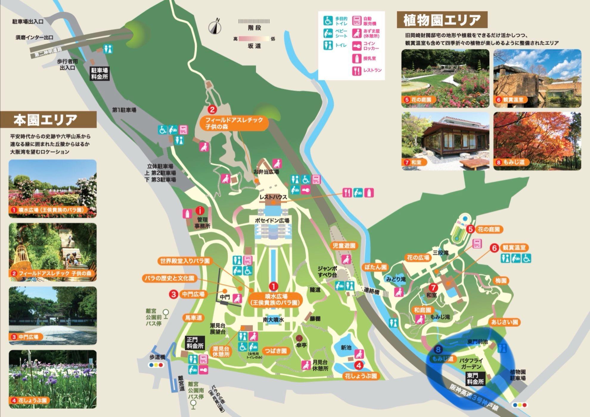 神戸市須磨区】須磨離宮公園の穴場、蝶が舞うバタフライガーデン