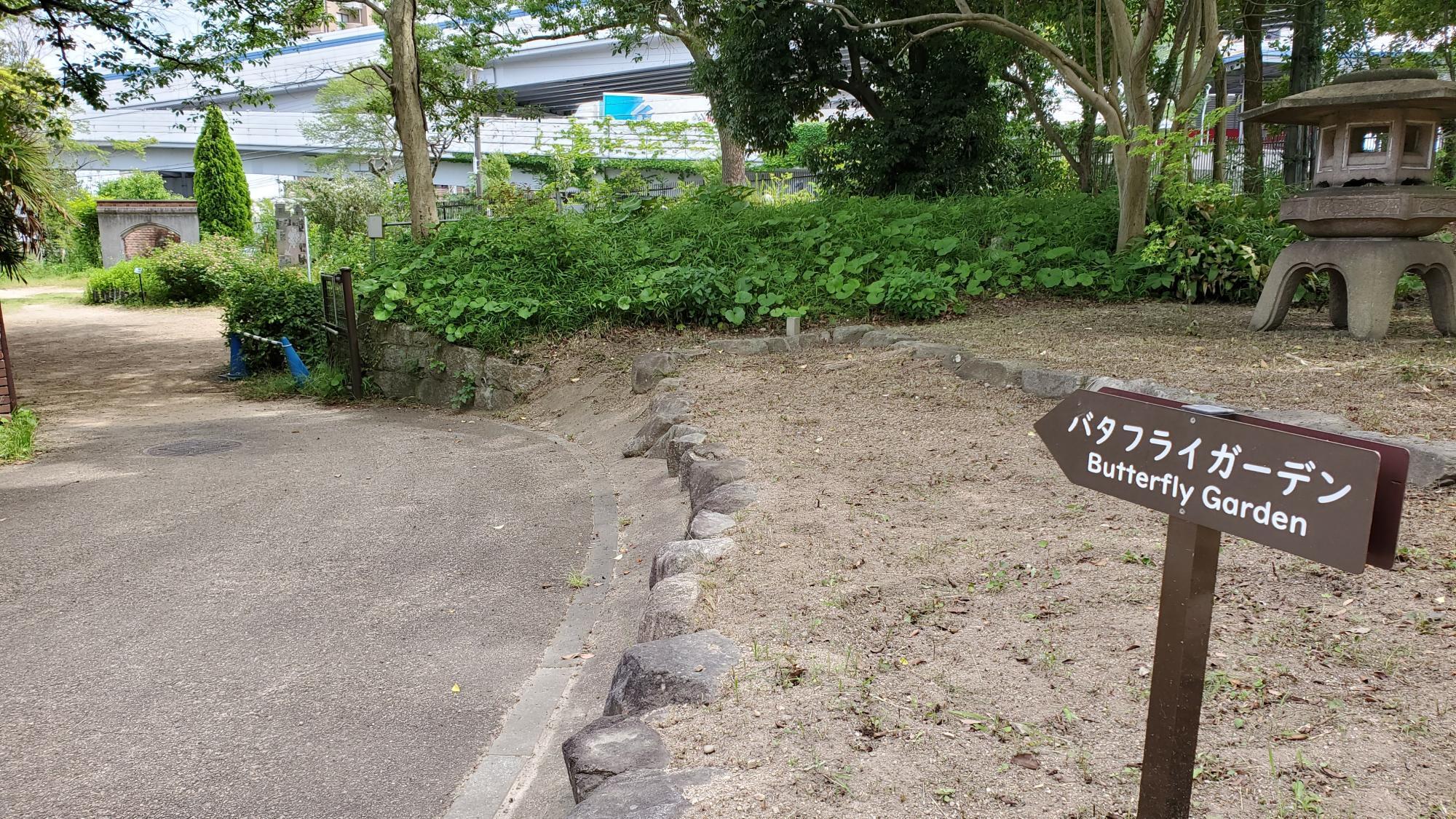 神戸市須磨区】須磨離宮公園の穴場、蝶が舞うバタフライガーデン