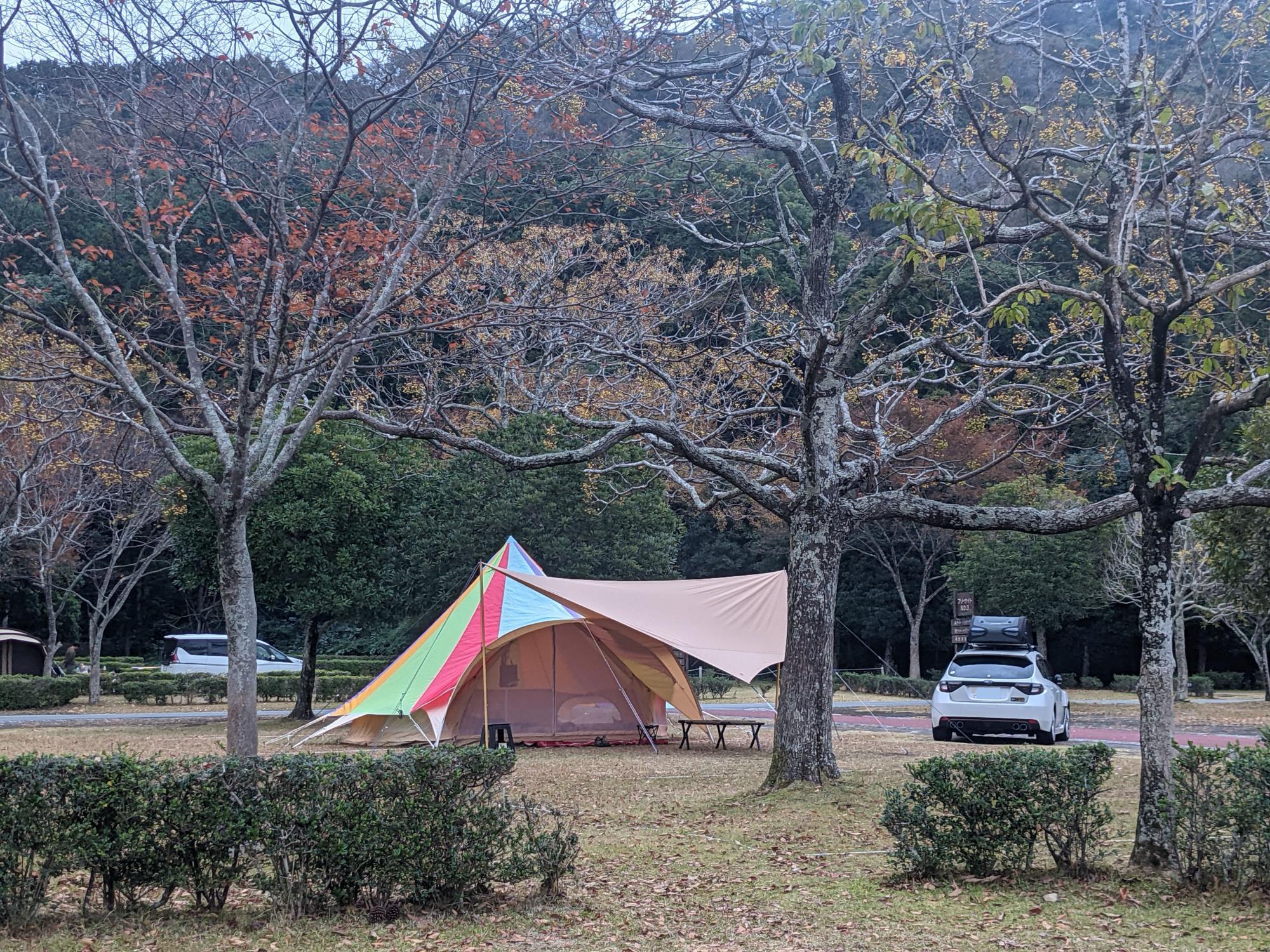 イギリスから取り寄せたSTARBELL TENT／日本より先に大型化・快適化の波が来ている