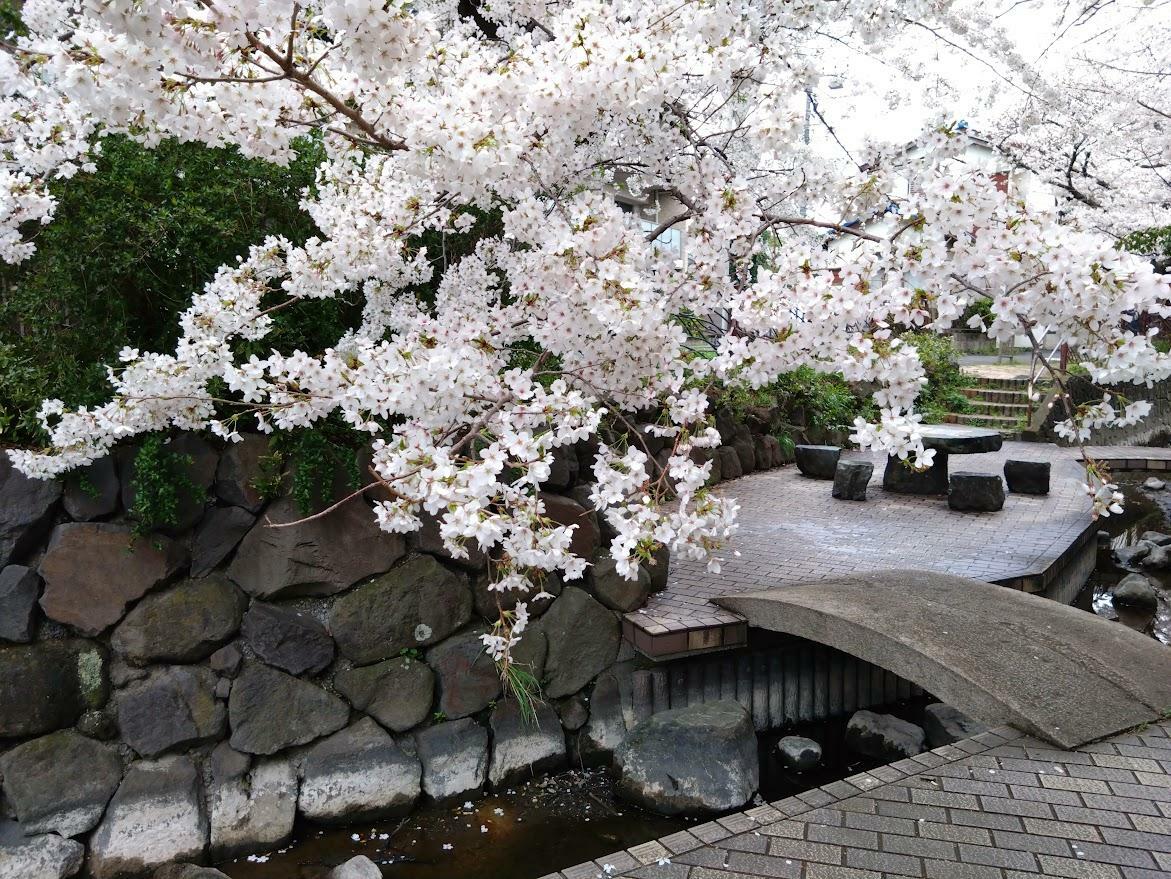 4月5日、住吉橋付近の遊歩道。ひと休みができるテーブルとイスも。